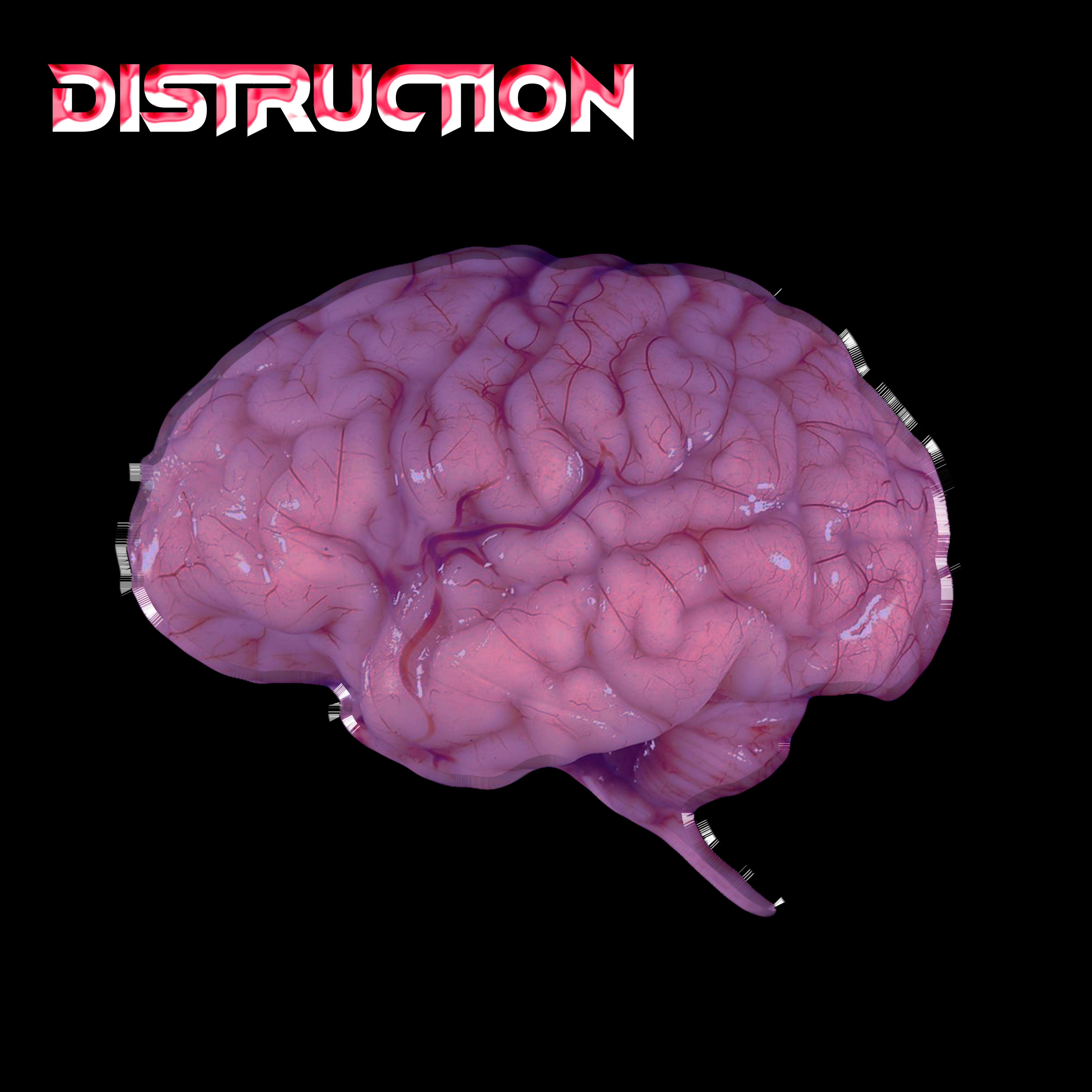 Постер альбома Distruction