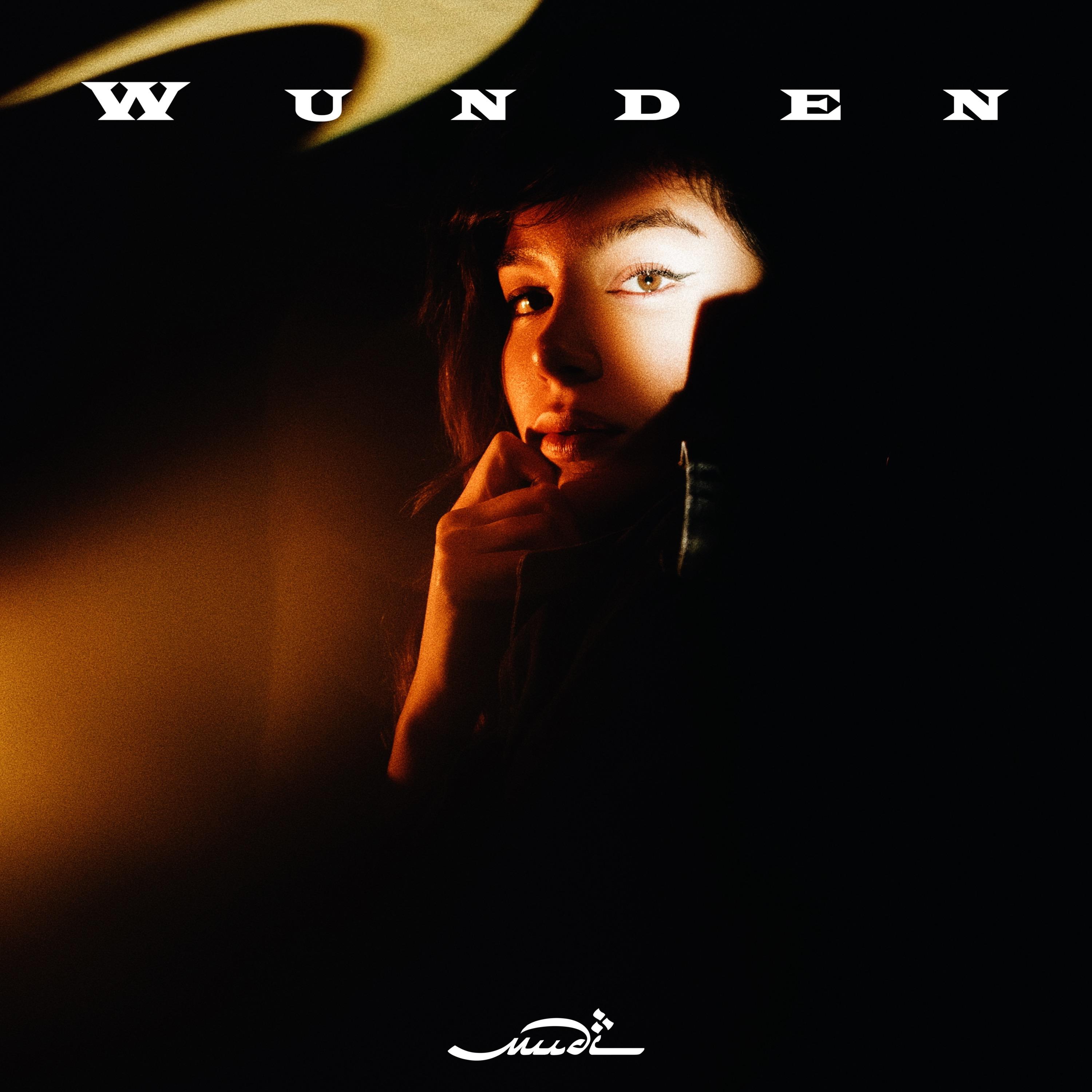 Постер альбома Wunden
