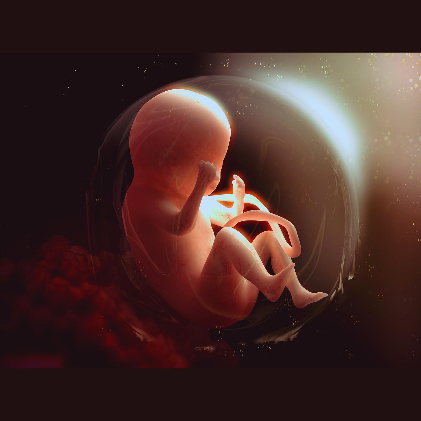 Постер альбома Unborn