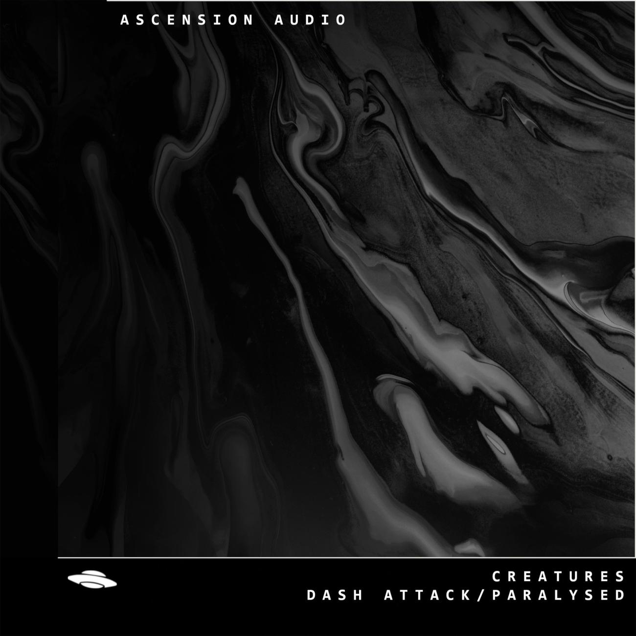 Постер альбома Dash Attack / Paralysed