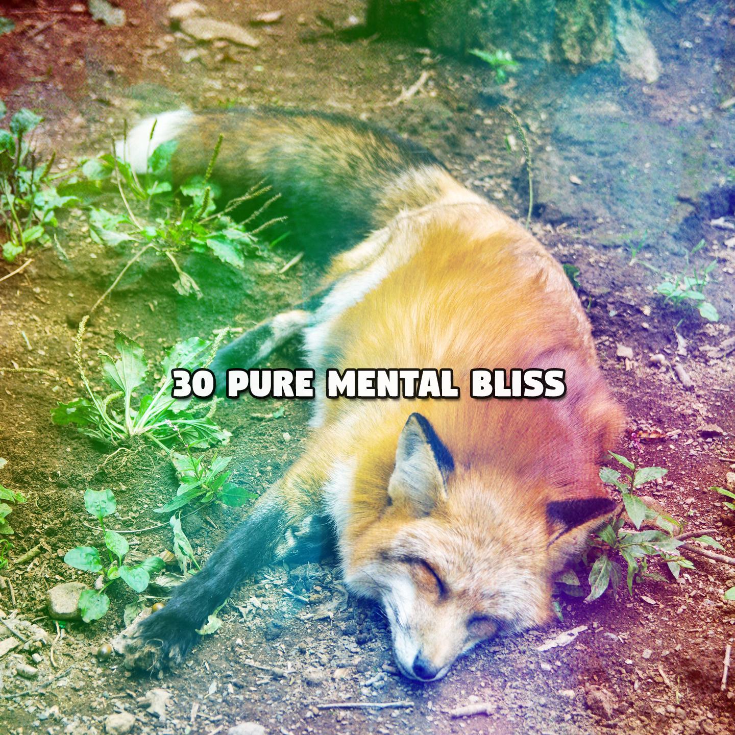 Постер альбома 30 Pure Mental Bliss