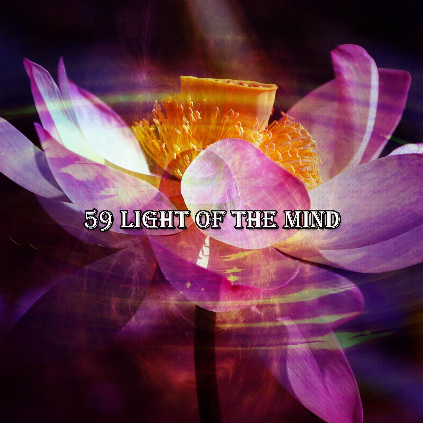 Постер альбома 59 Light Of The Mind