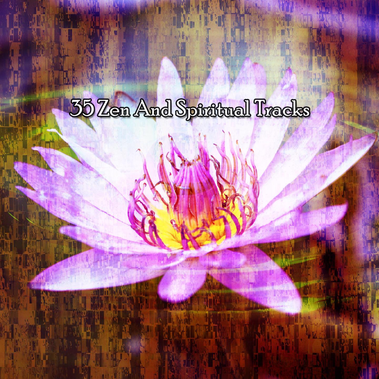 Постер альбома 35 Zen And Spiritual Tracks