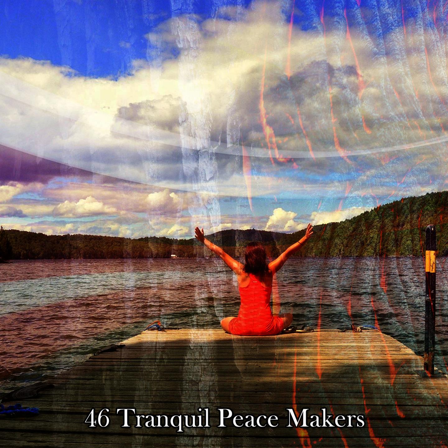 Постер альбома 46 Tranquil Peace Makers