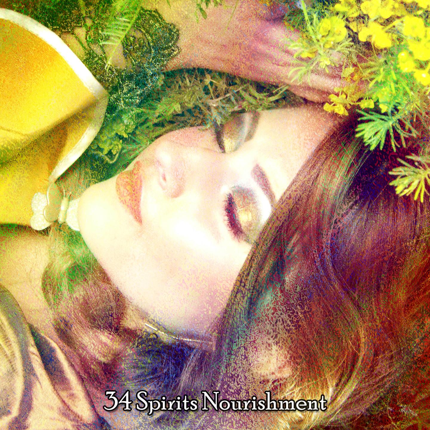 Постер альбома 34 Spirits Nourishment