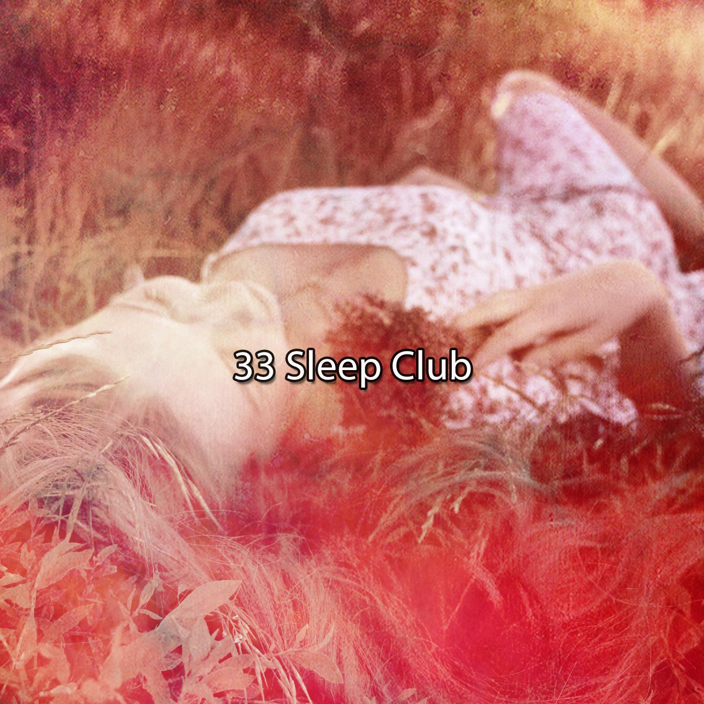 Постер альбома 33 Sleep Club