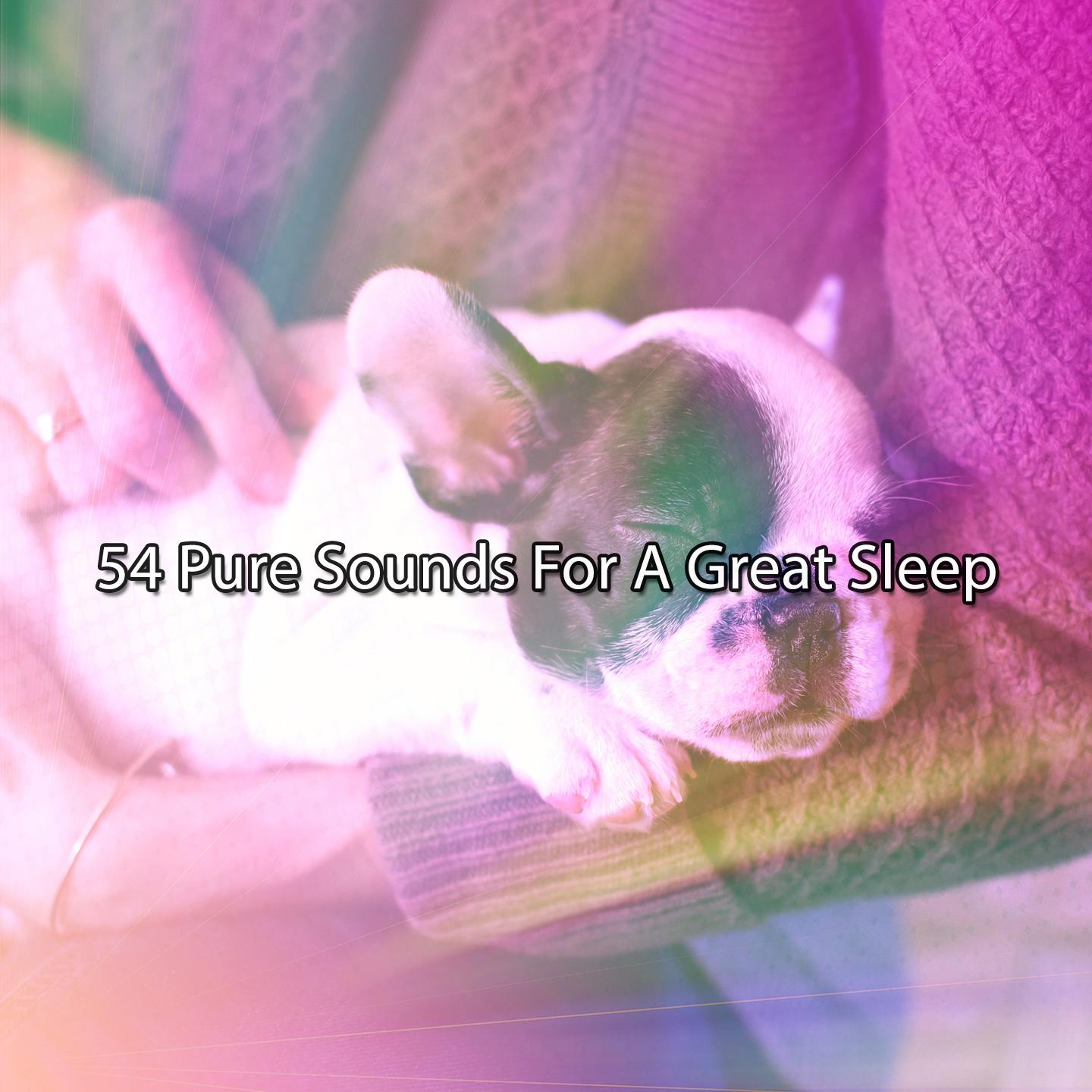 Постер альбома 54 Pure Sounds For A Great Sleep