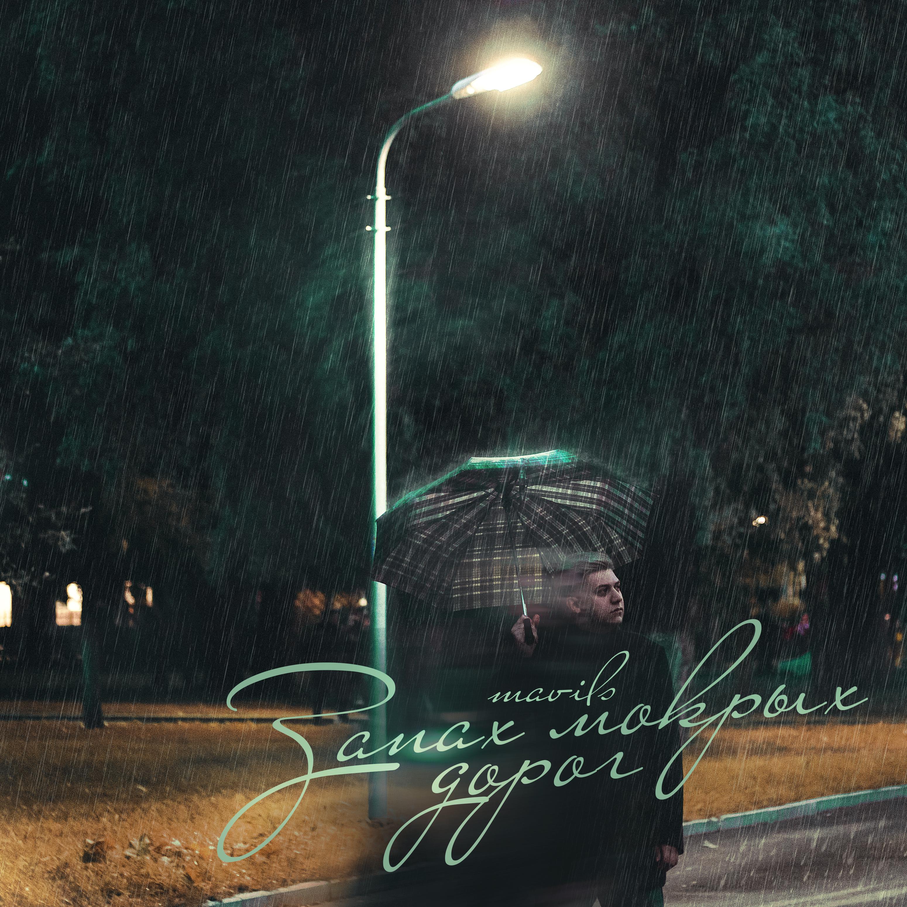 Постер альбома Запах мокрых дорог