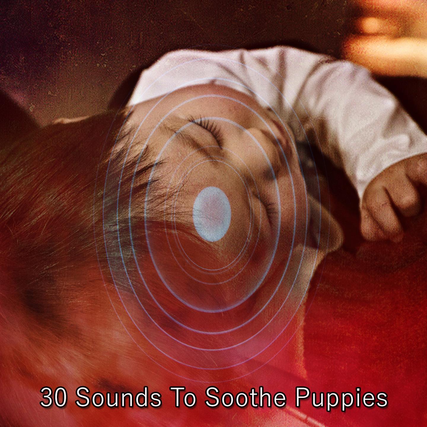 Постер альбома 30 Sounds To Soothe Puppies