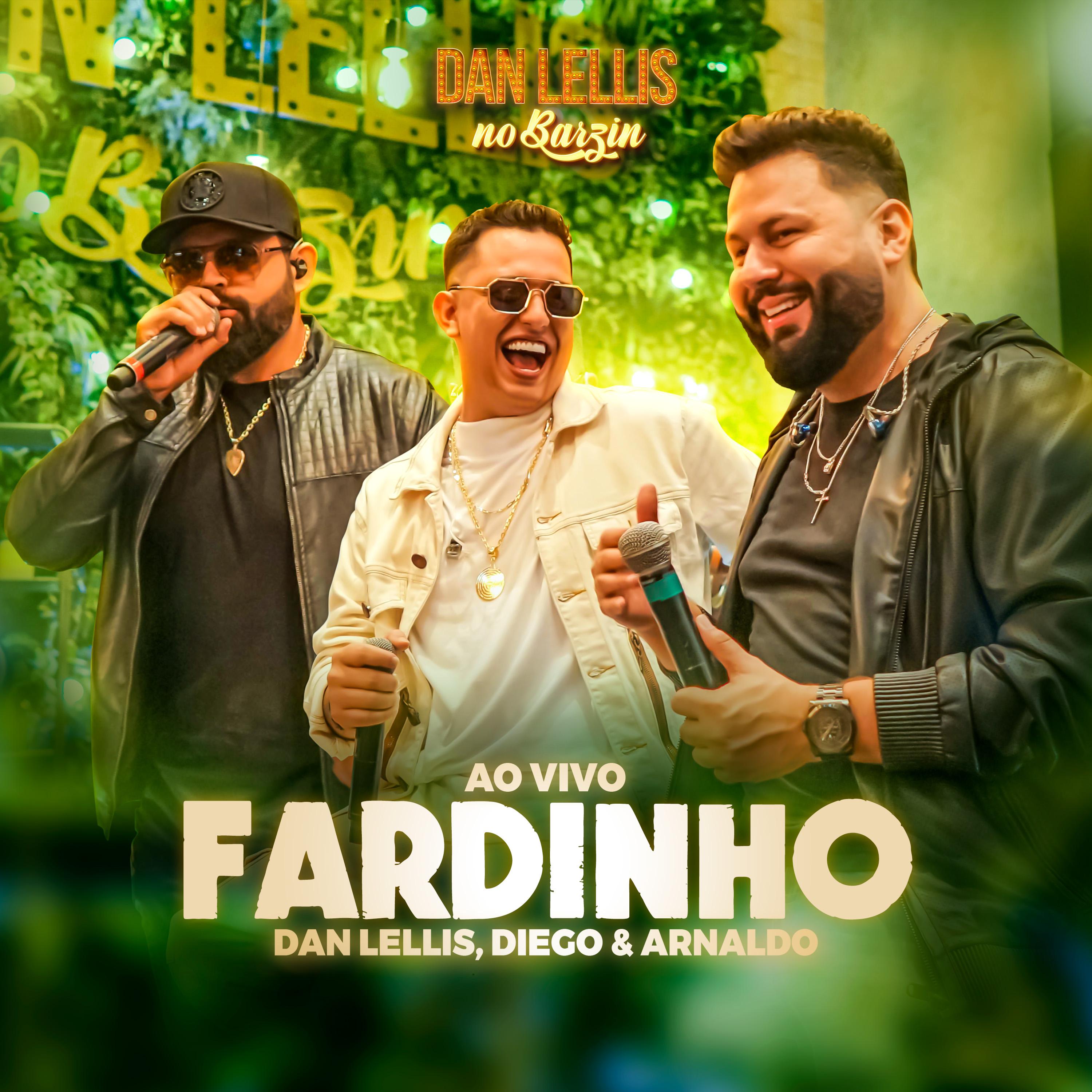 Постер альбома Fardinho