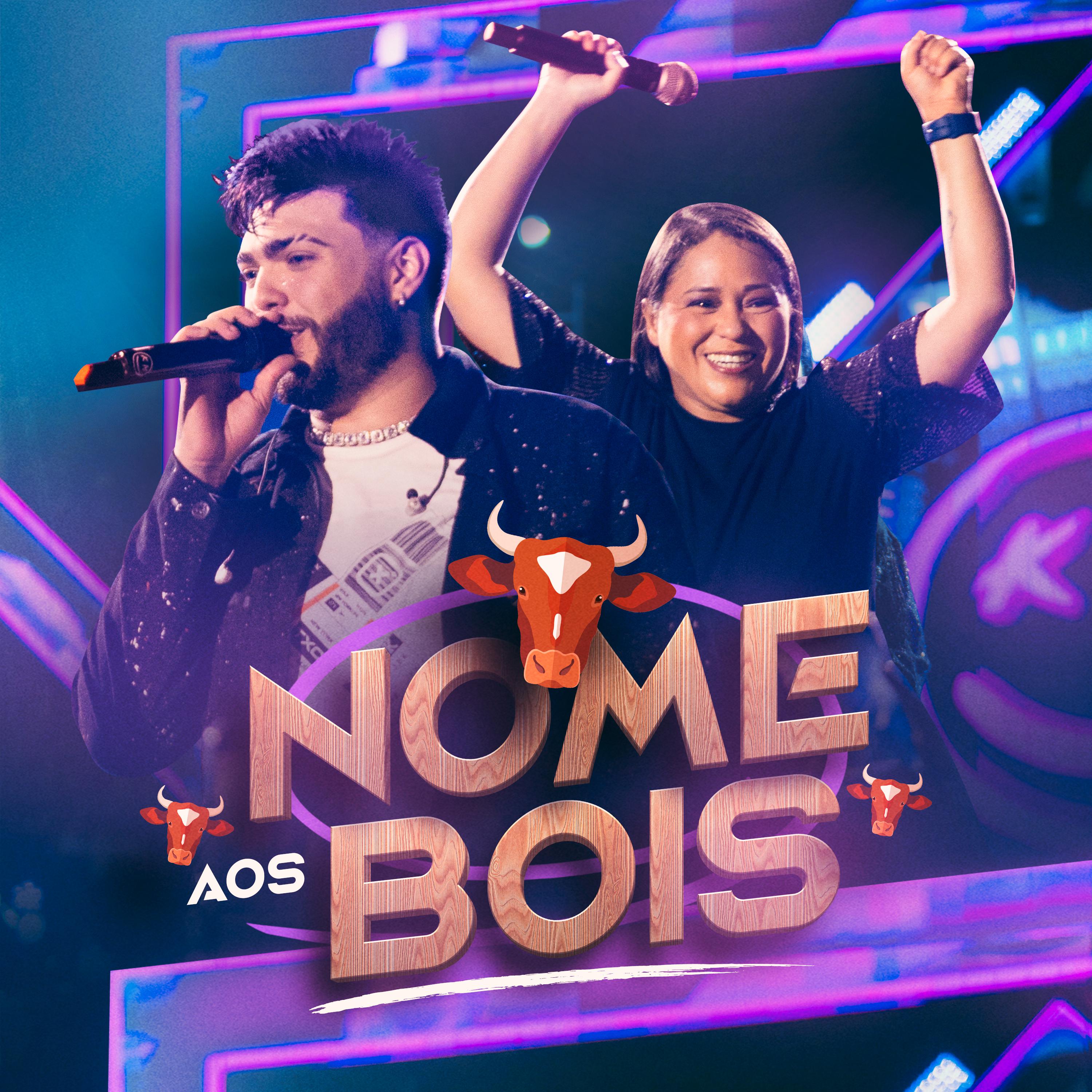 Постер альбома Nome aos Bois