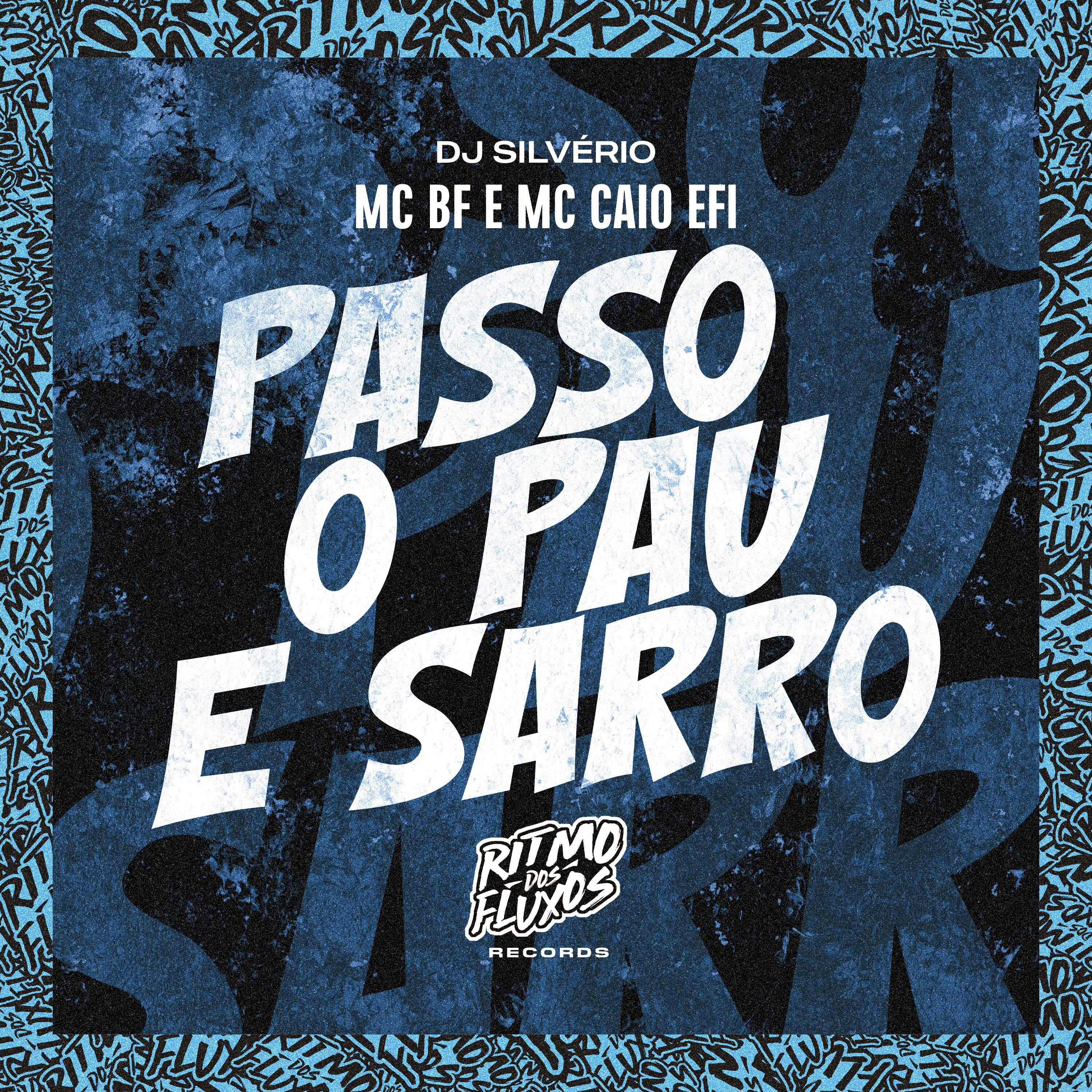 Постер альбома Passo o Pau e Sarro