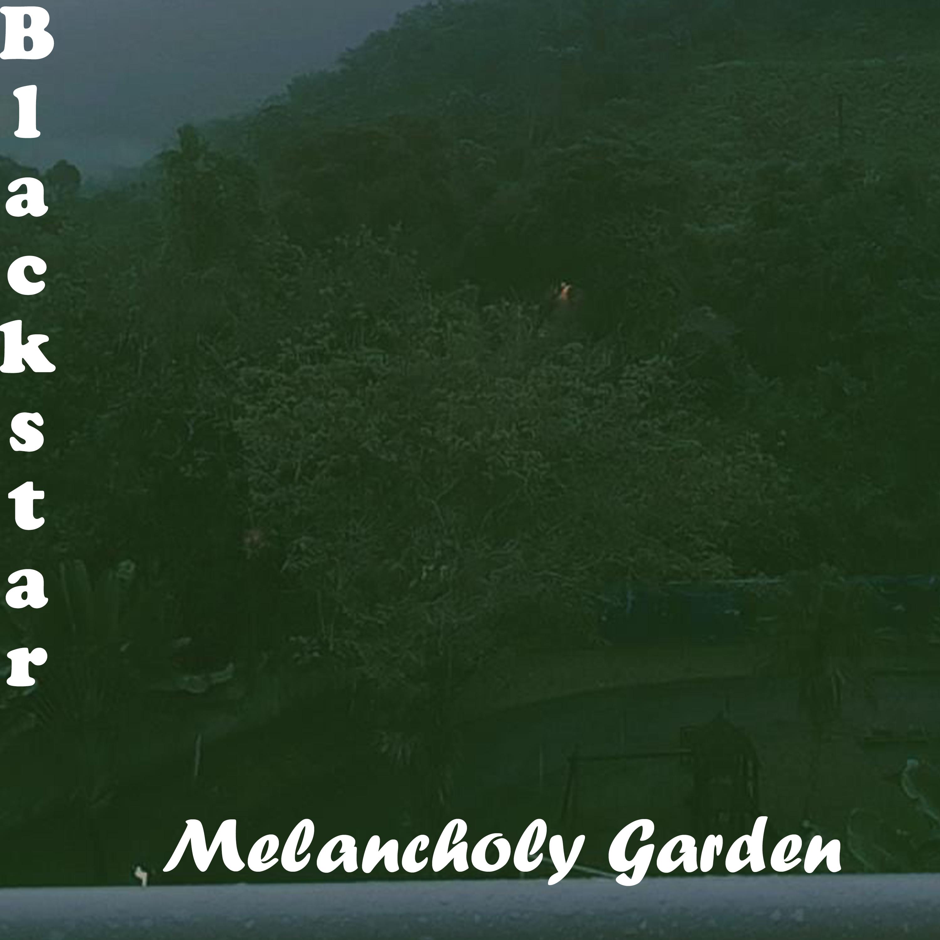 Постер альбома Melancholy Garden