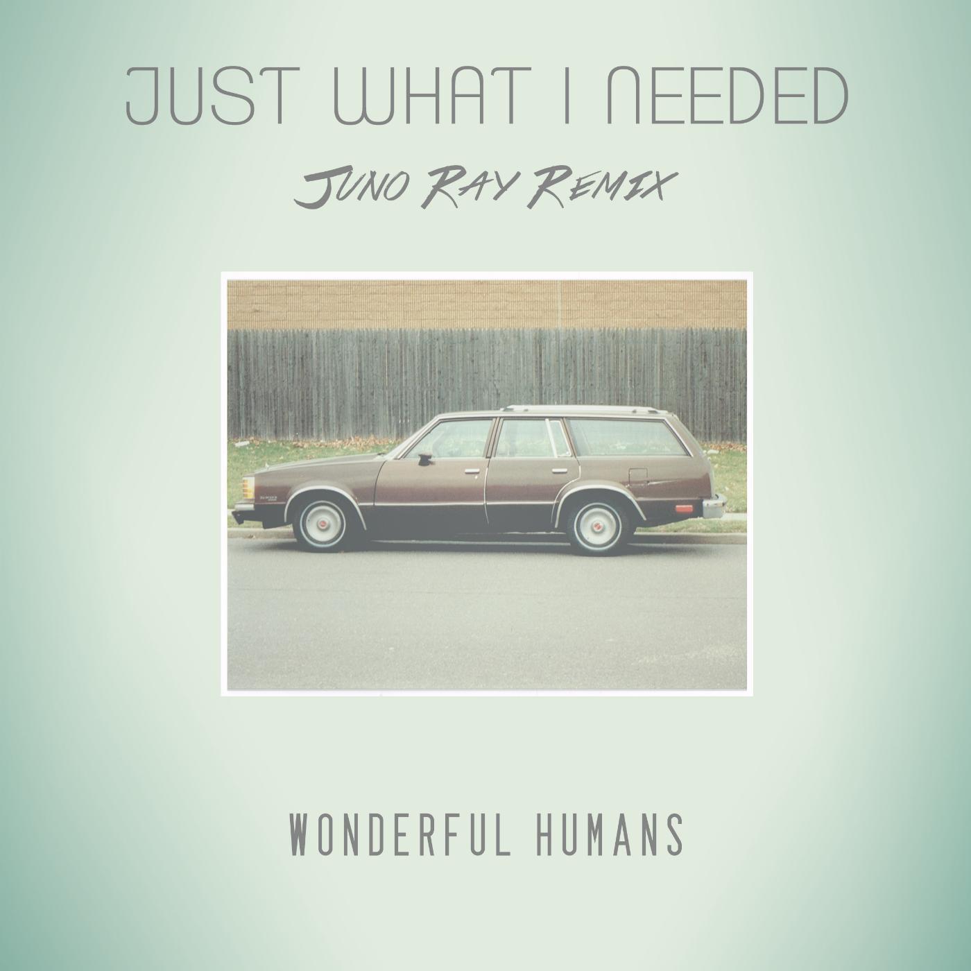 Постер альбома Just What I Needed (Juno Ray Remix)