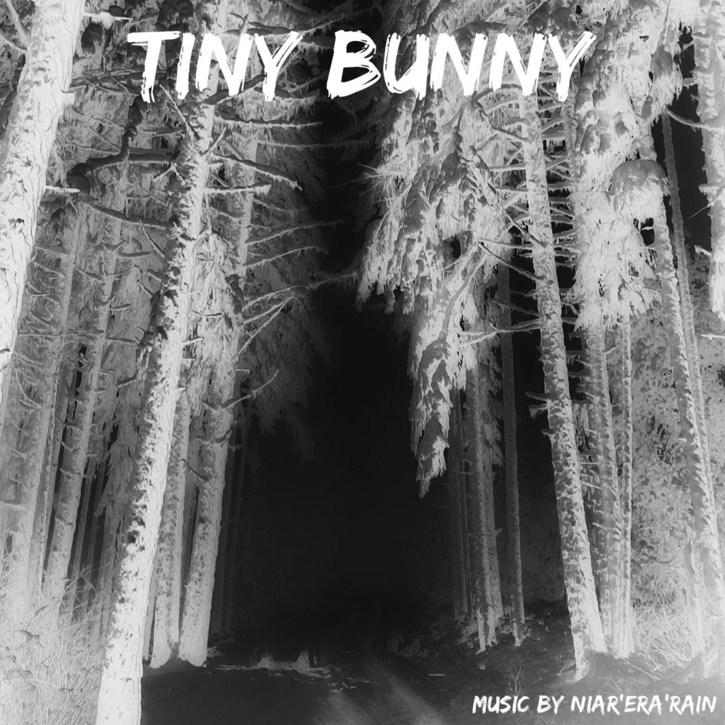 Постер альбома Tiny Bunny