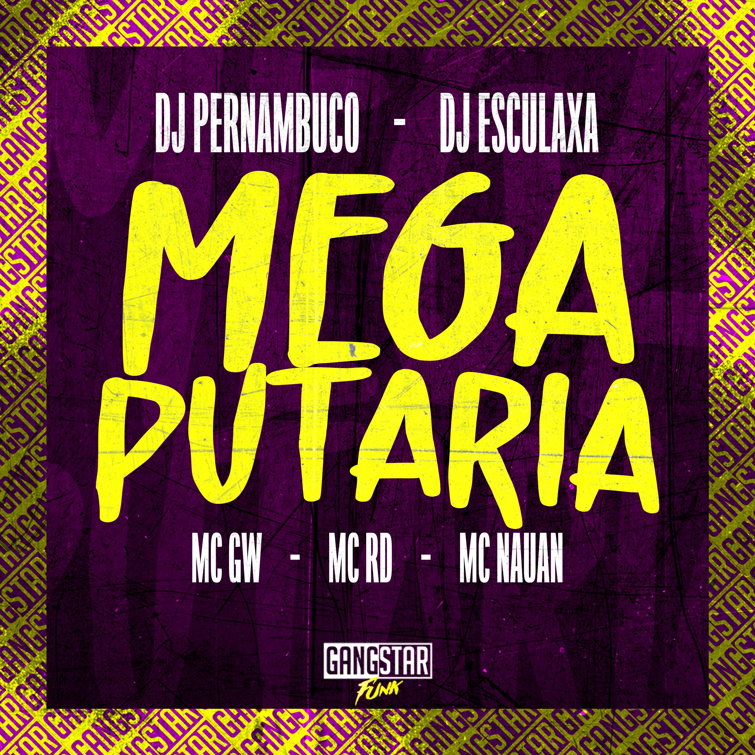Постер альбома Mega Putaria