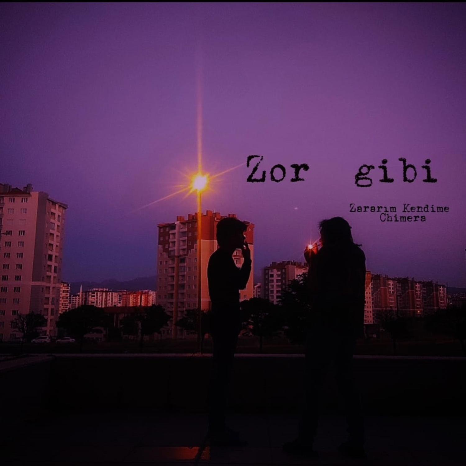 Постер альбома Zor Gibi
