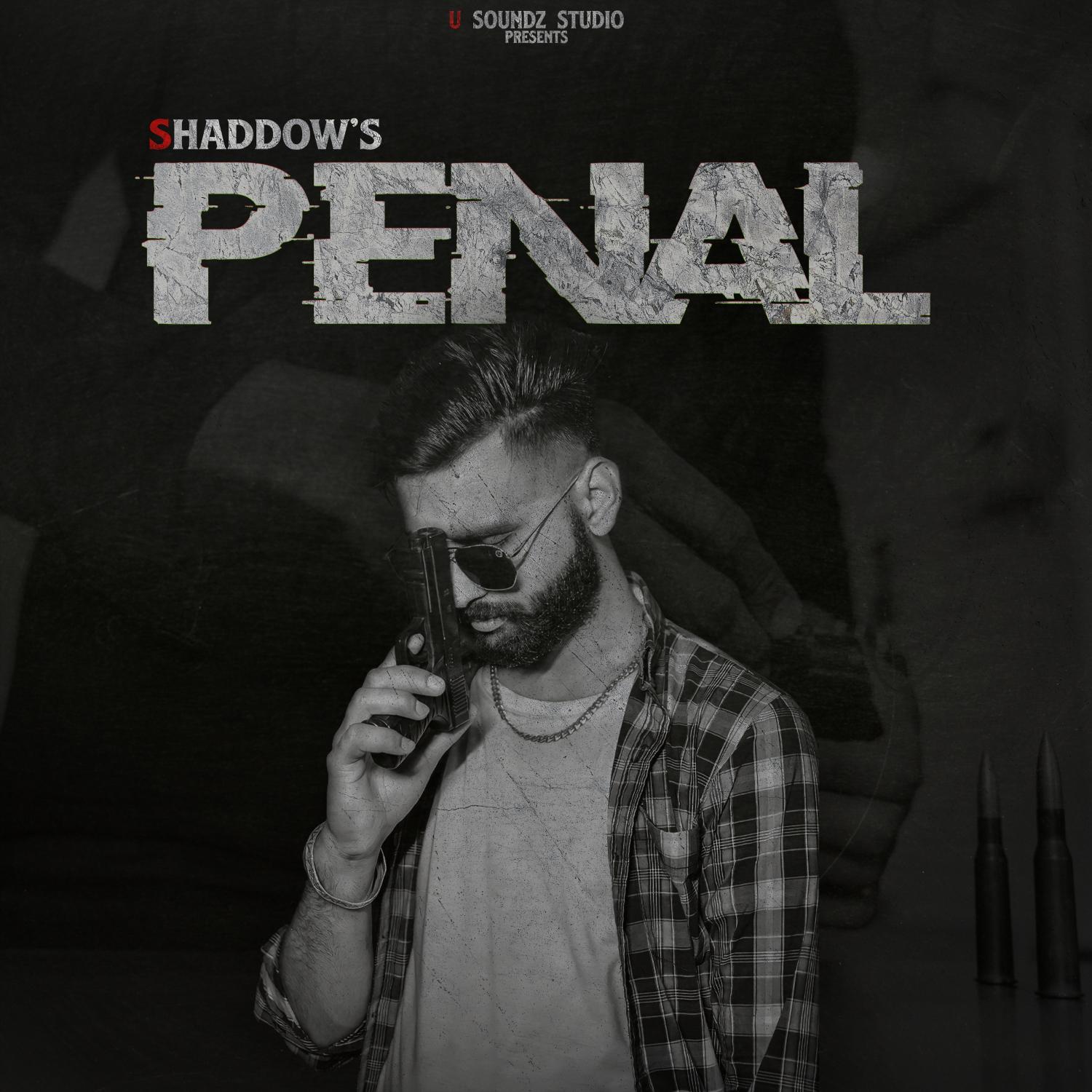 Постер альбома Penal
