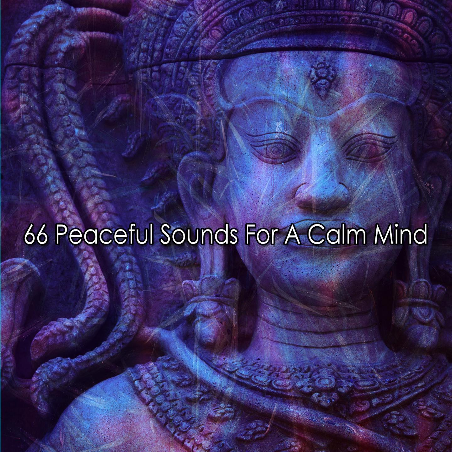 Постер альбома 66 Peaceful Sounds For A Calm Mind