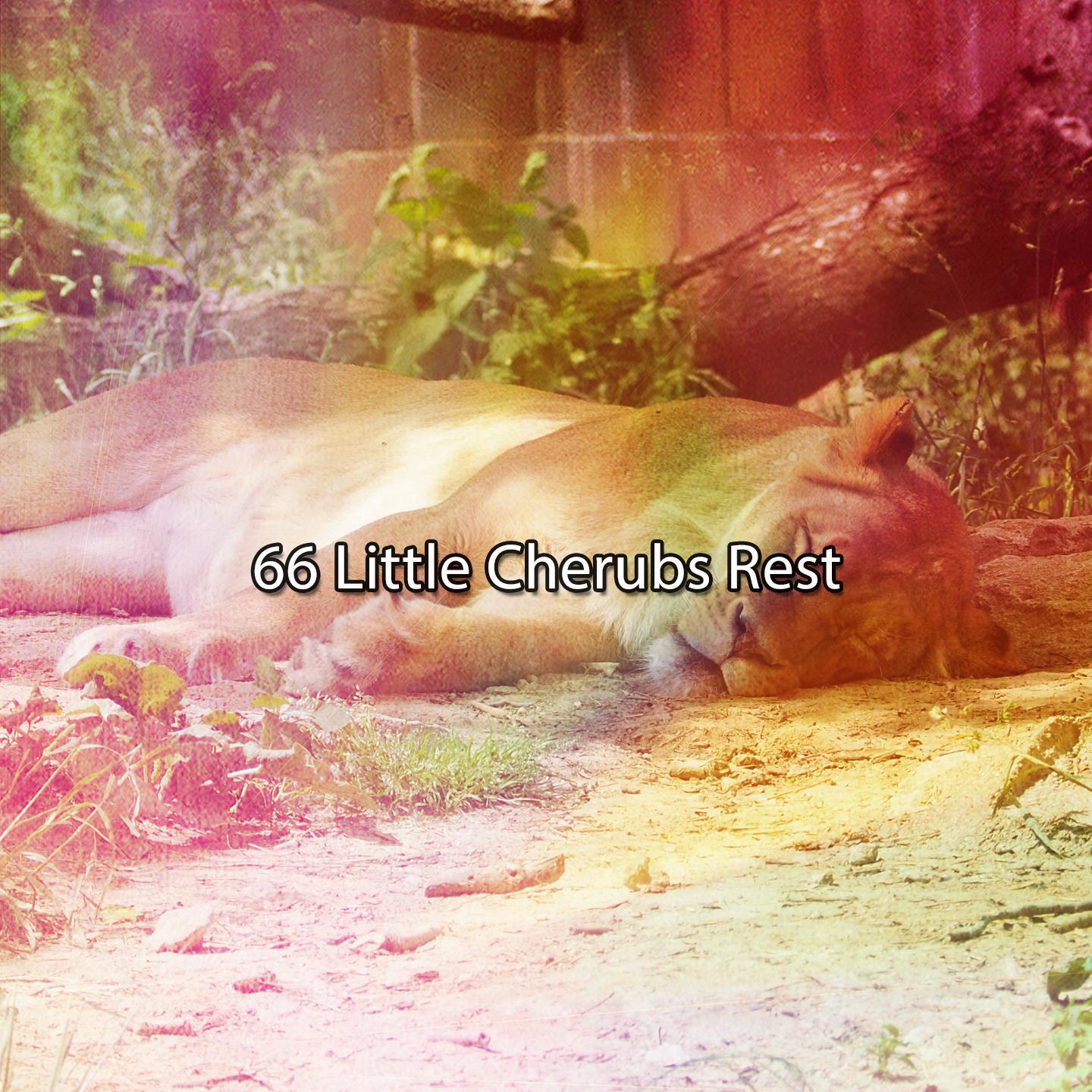 Постер альбома 66 Little Cherubs Rest