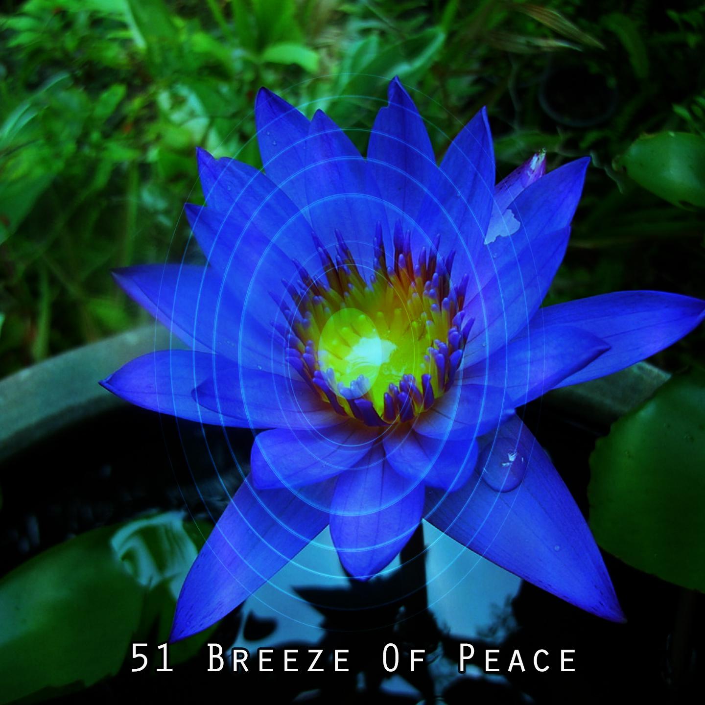 Постер альбома 51 Breeze Of Peace