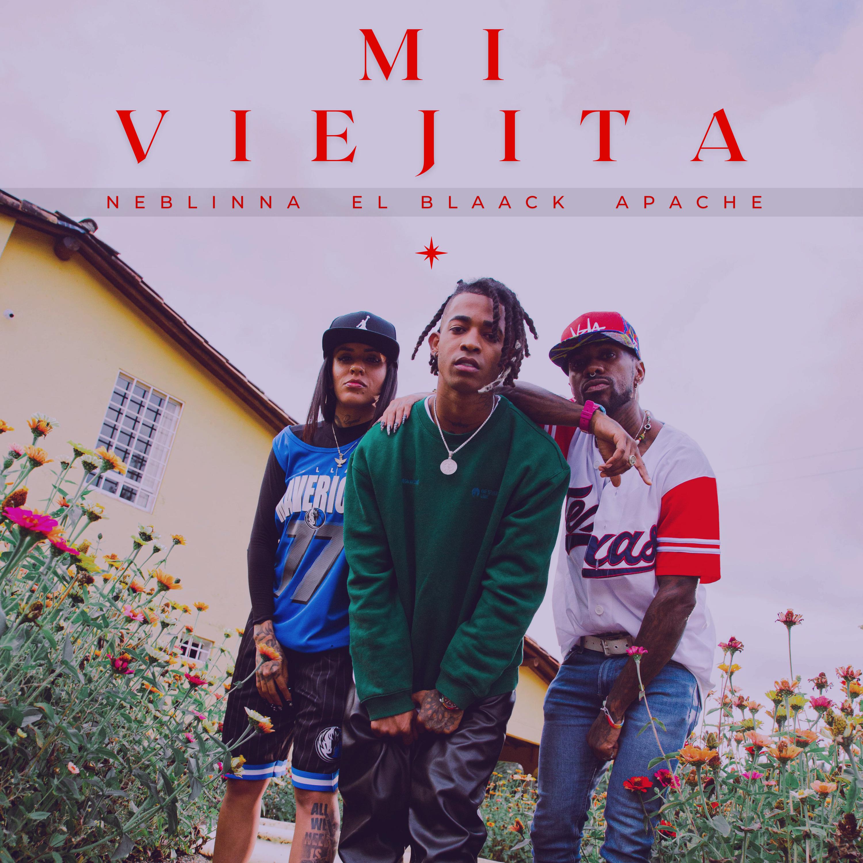 Постер альбома Mi Viejita