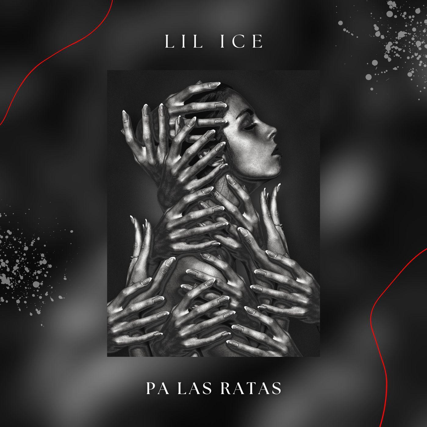 Постер альбома Pa Las Ratas