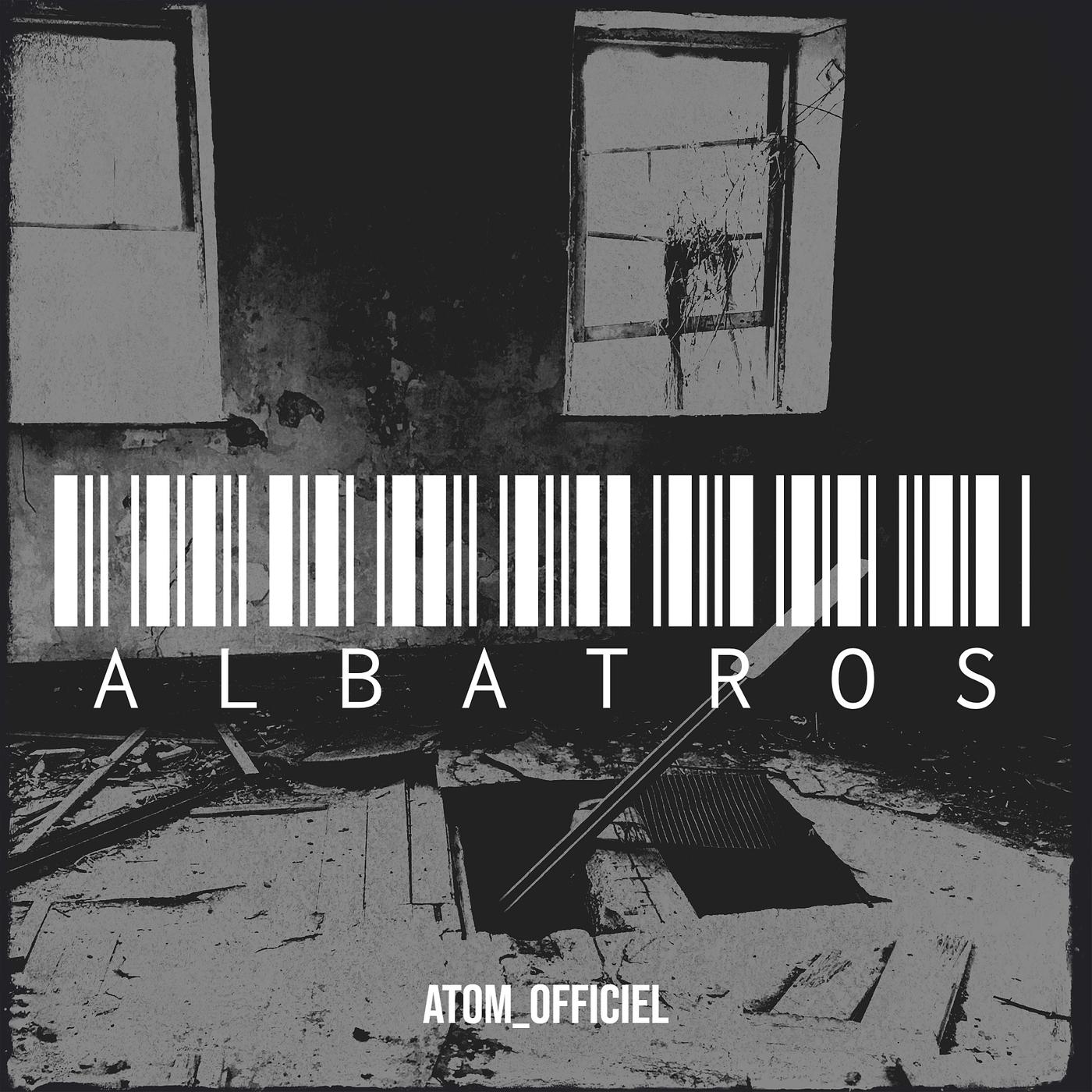 Постер альбома ALBATROS
