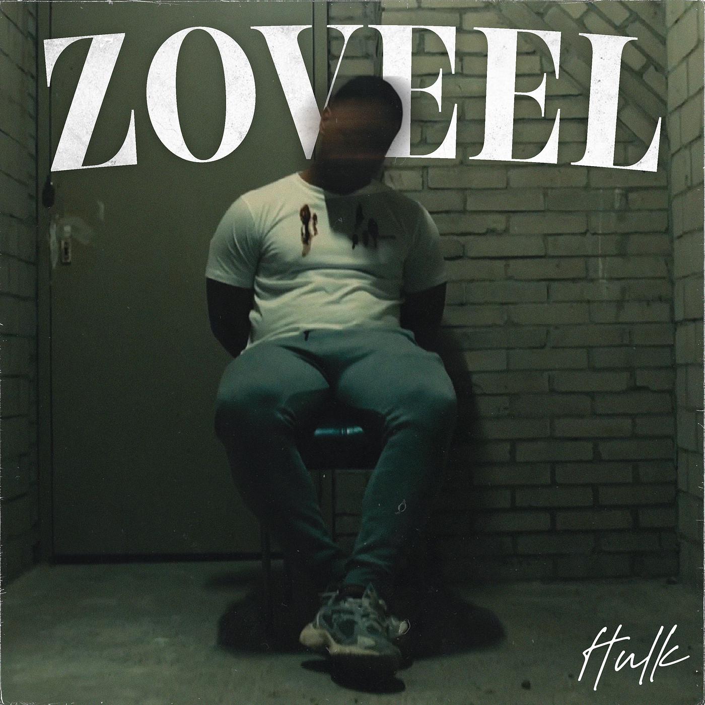 Постер альбома Zoveel
