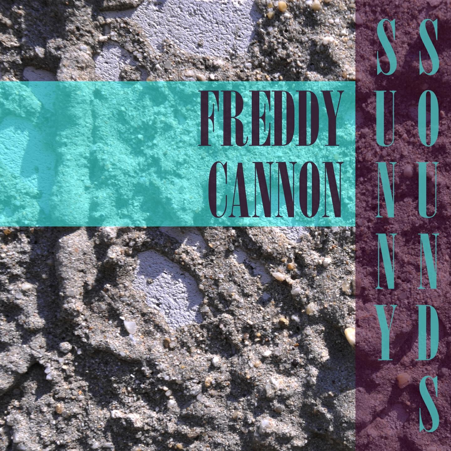 Freddy Cannon - Chattanoogie Shoe Shine Boy