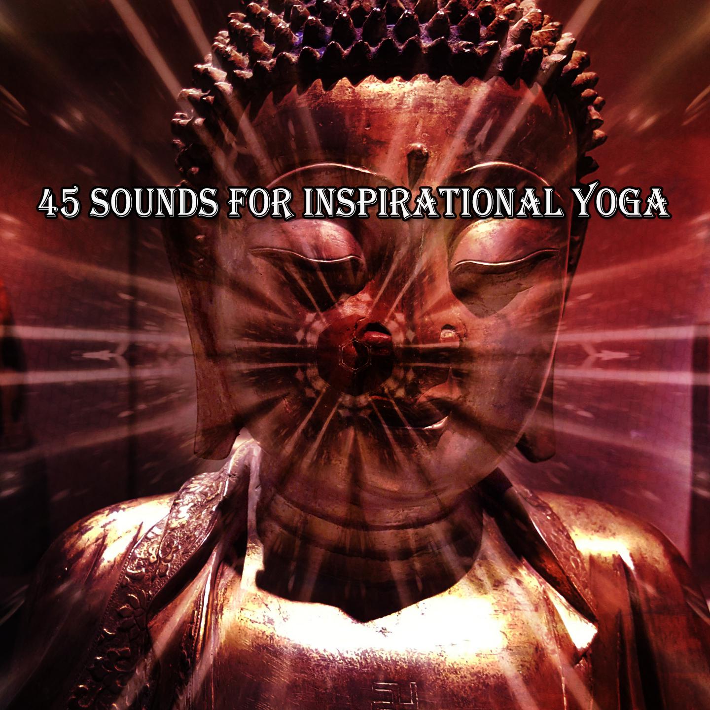 Постер альбома 45 Sounds For Inspirational Yoga