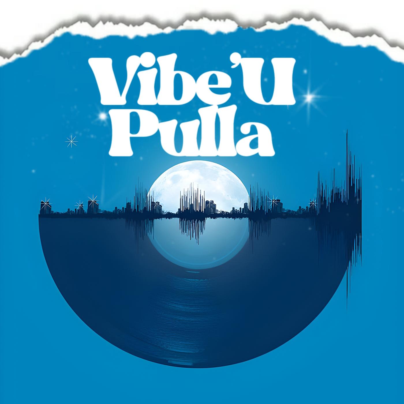 Постер альбома Vibe'u Pulla