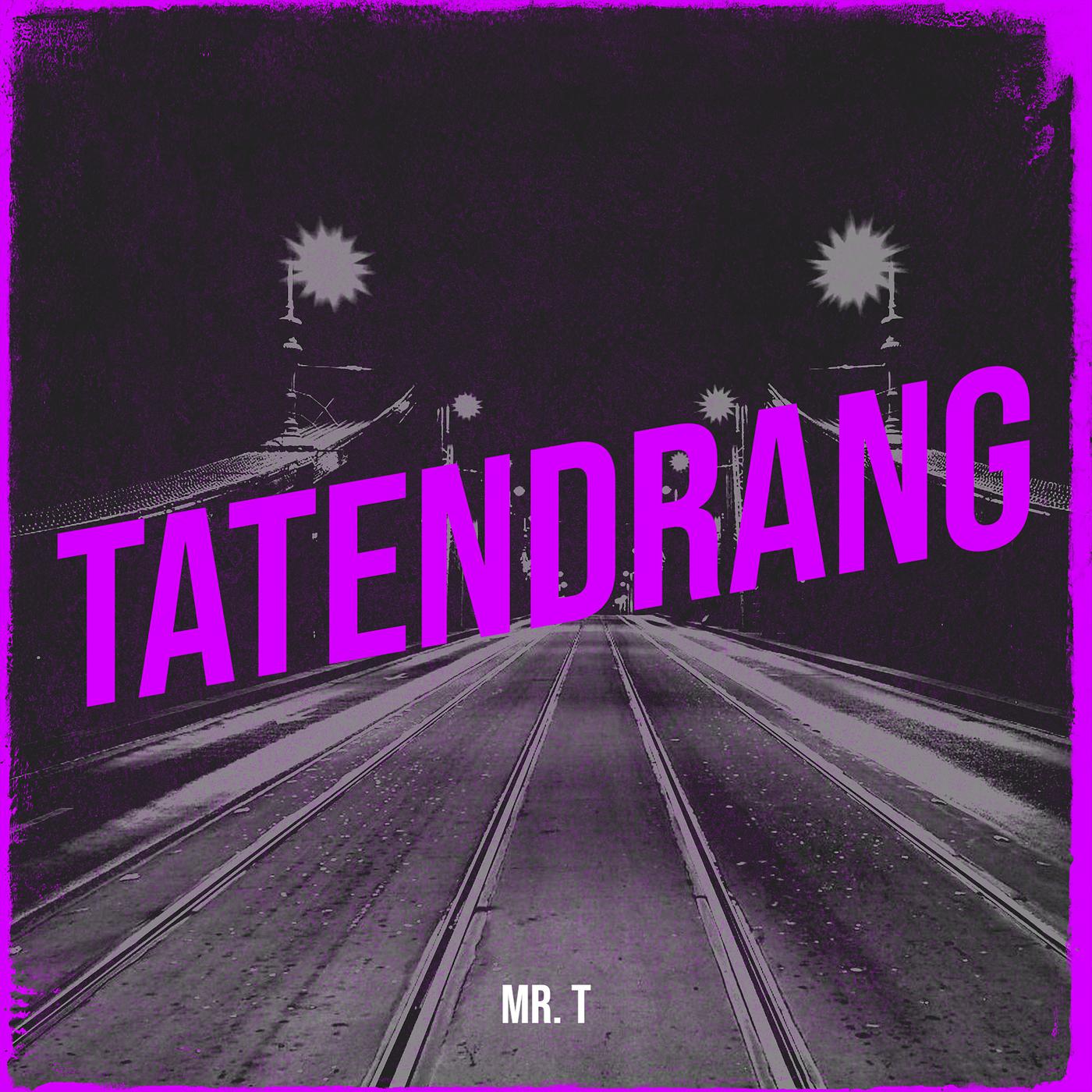 Постер альбома Tatendrang