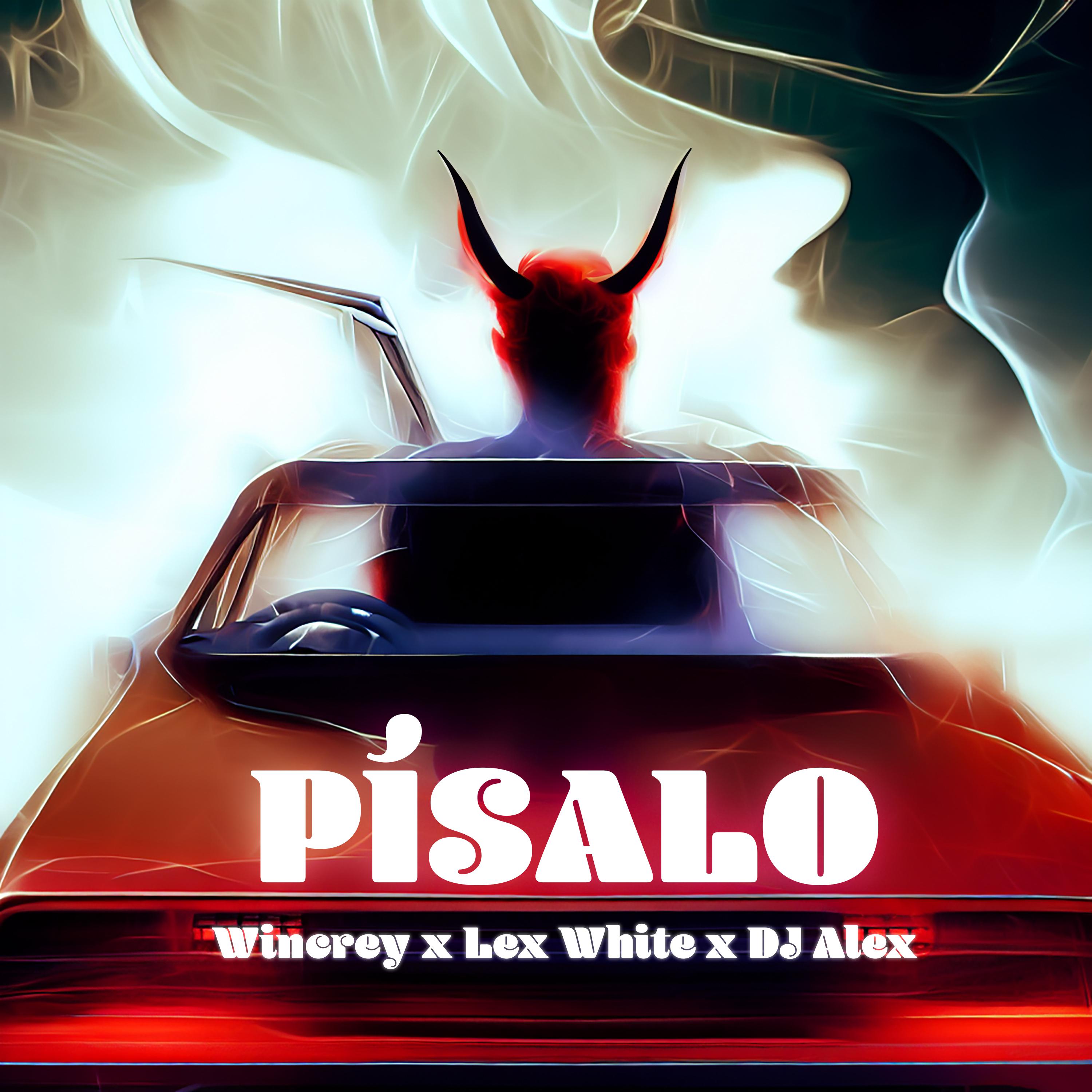 Постер альбома Pisalo