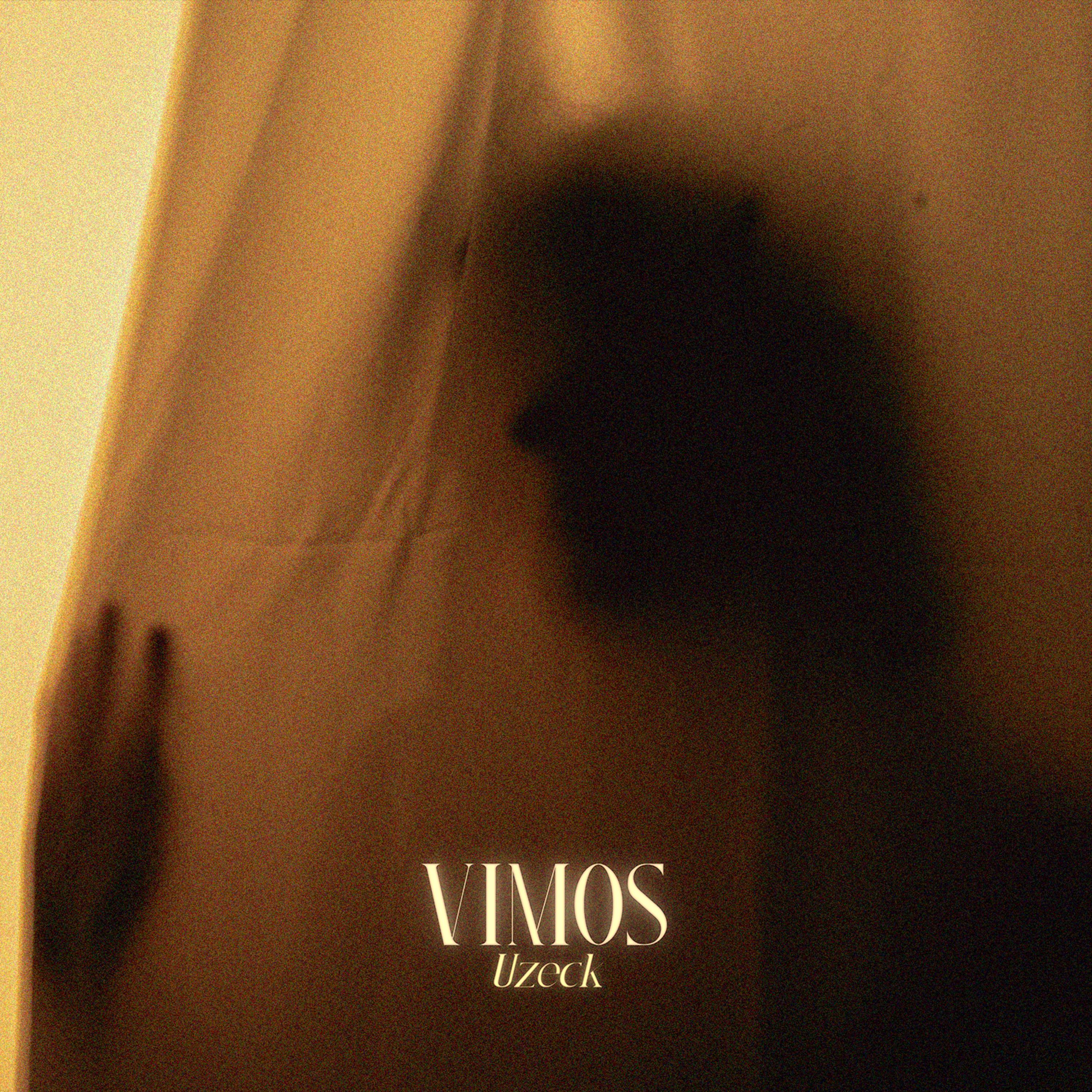 Постер альбома Vimos