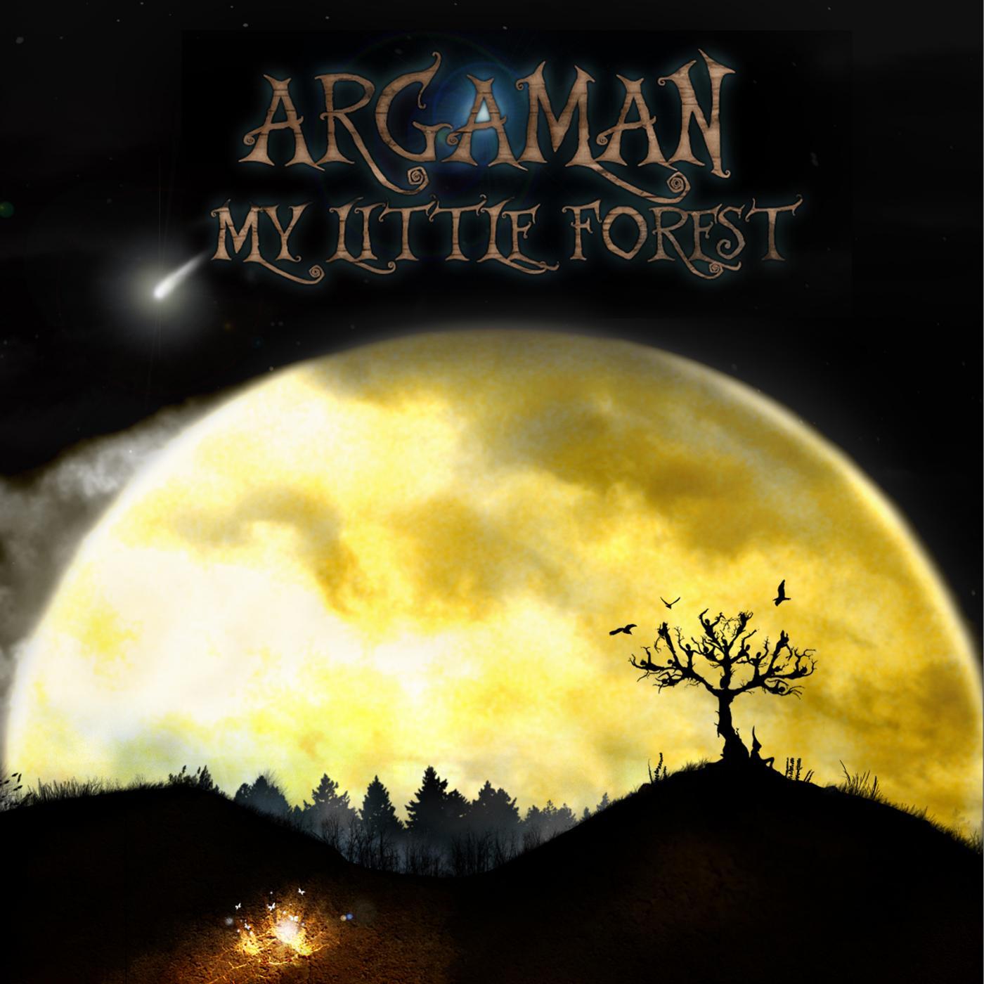 Постер альбома My Little Forest