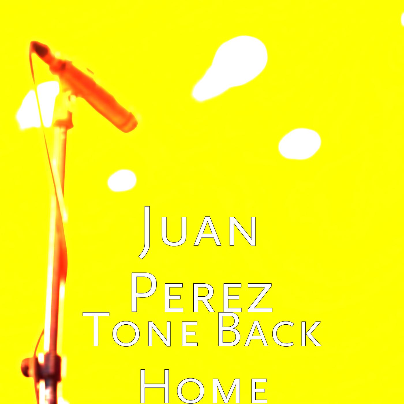 Постер альбома Tone Back Home