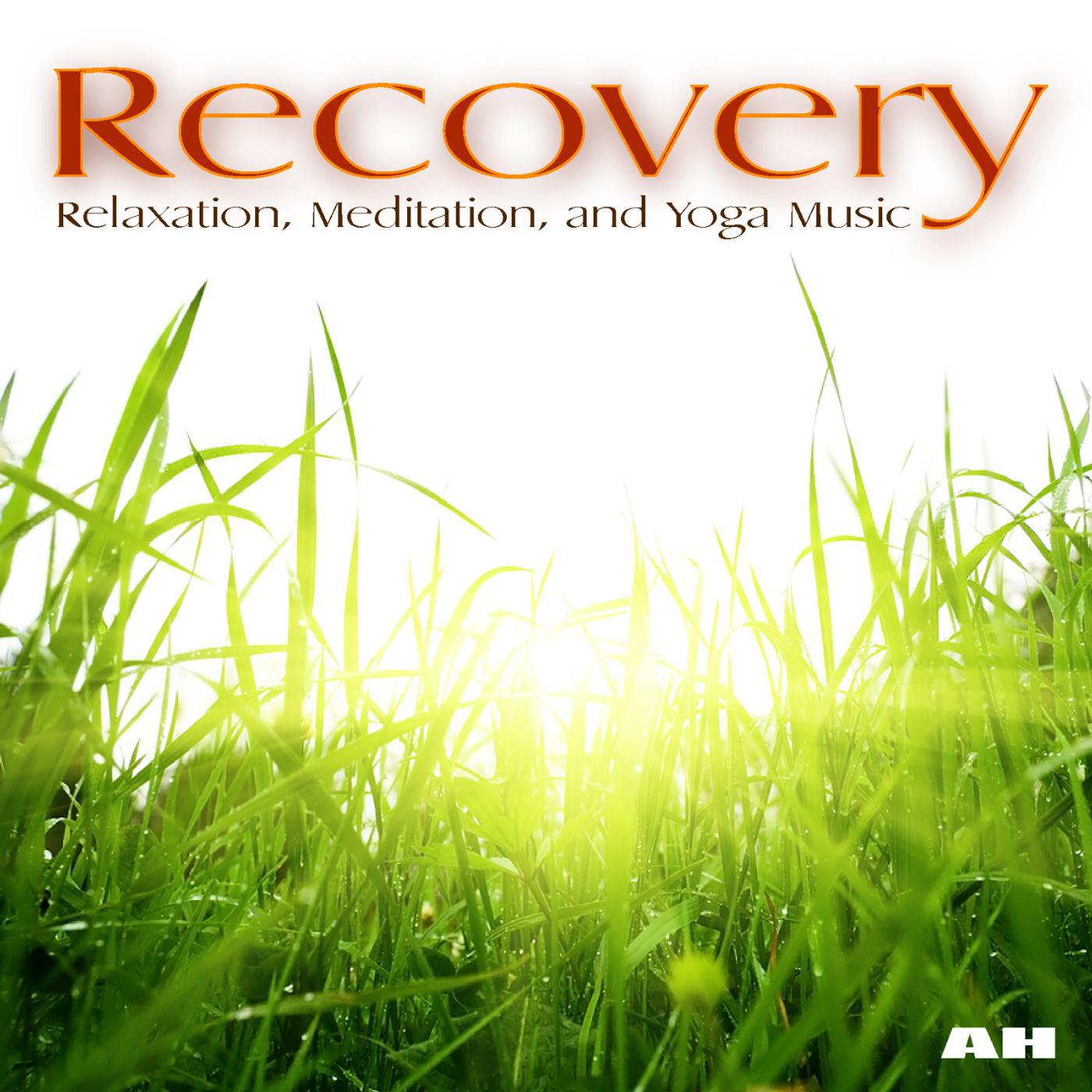 Постер альбома Recovery: Relaxation, Meditation and Yoga Music