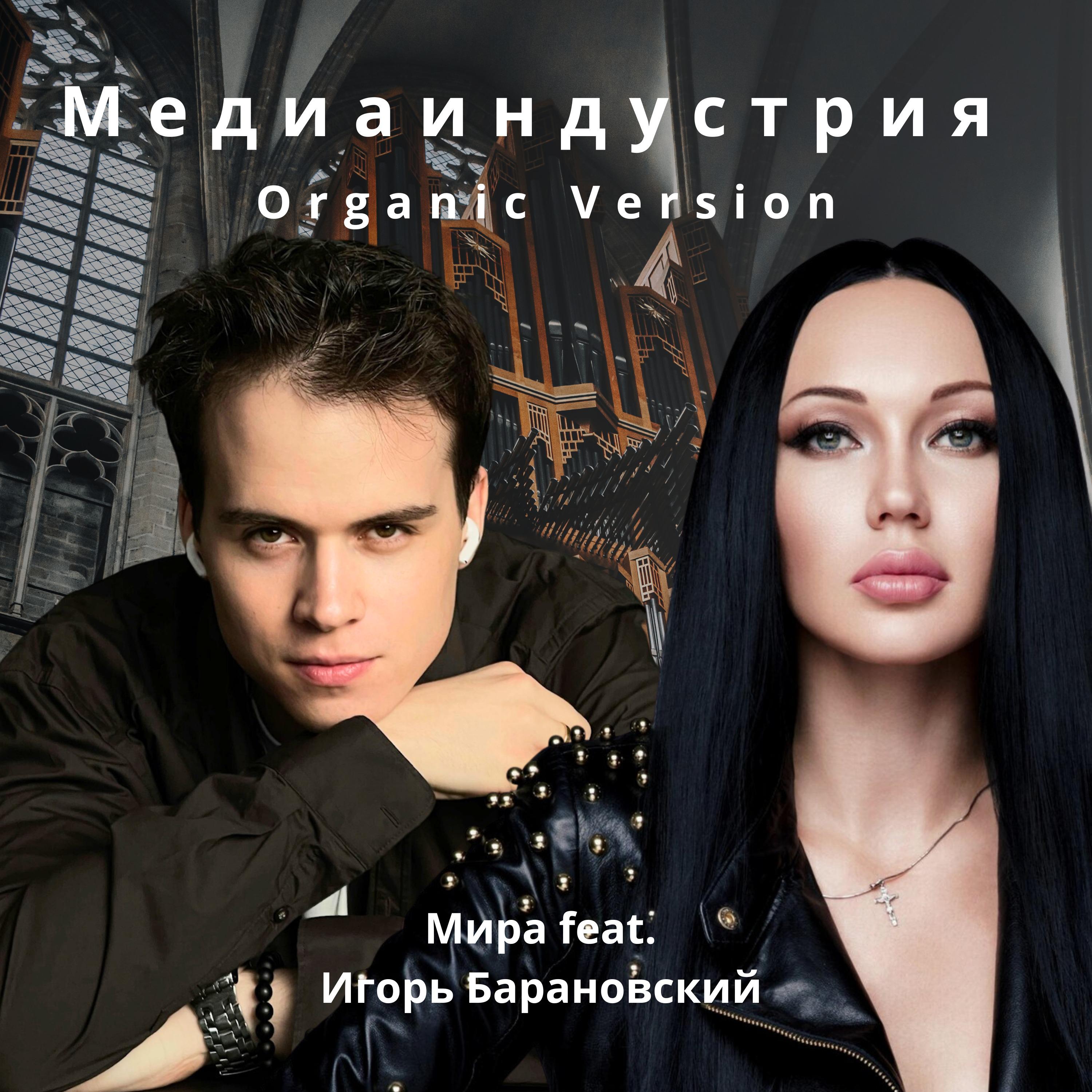 Постер альбома Медиаиндустрия [Organic Version]