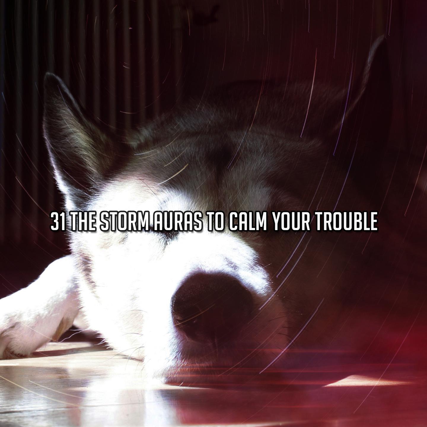 Постер альбома 31 The Storm Auras To Calm Your Trouble