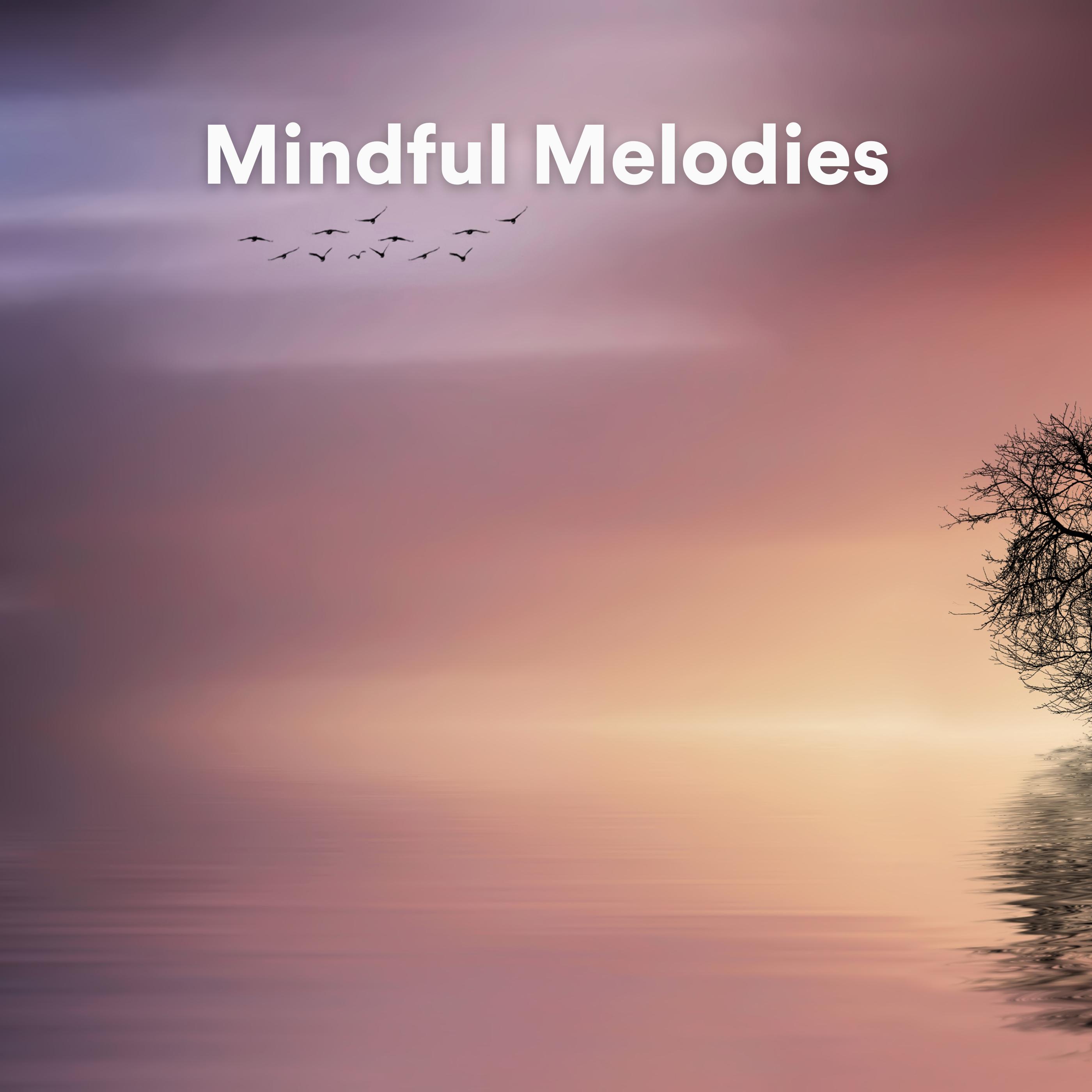 Постер альбома Mindful Melodies