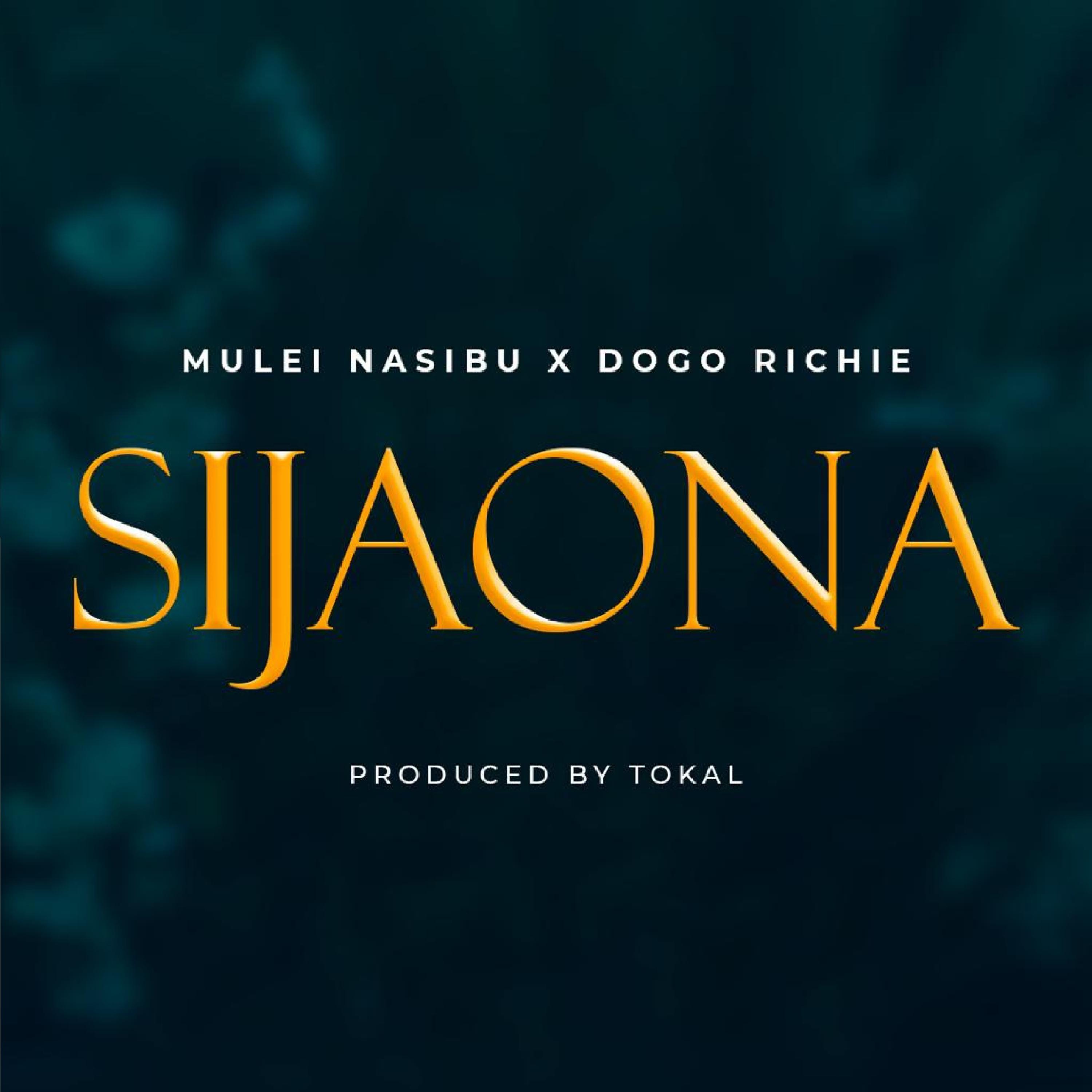 Постер альбома Sijaona