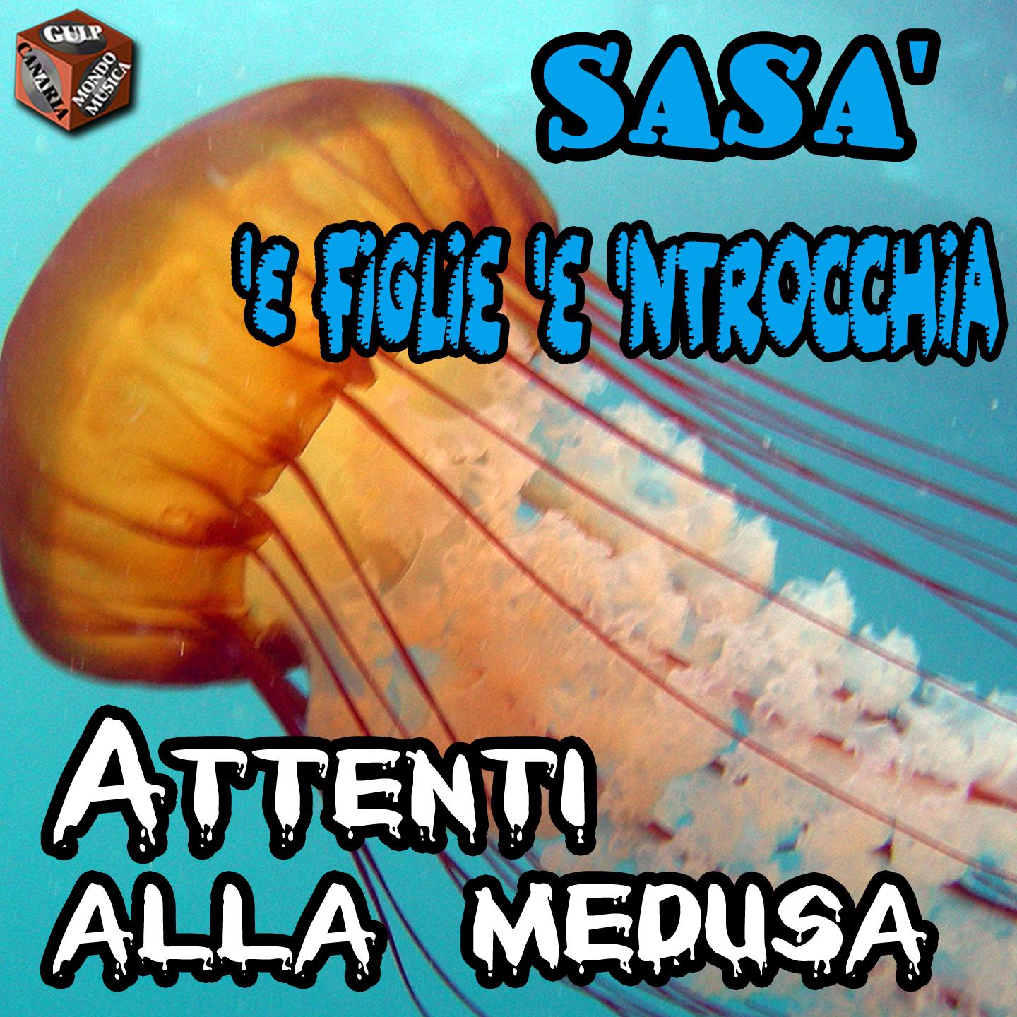 Постер альбома Attenti alla medusa