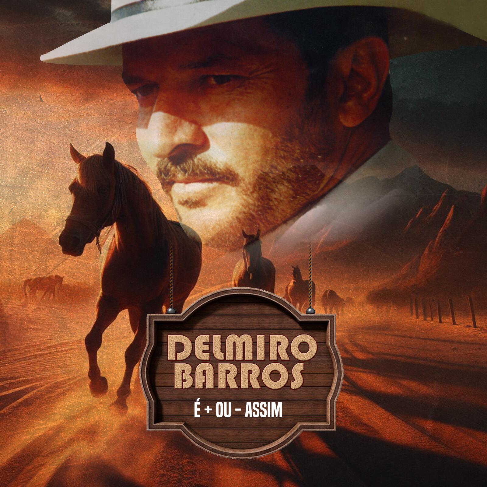 Delmiro Barros - Abelha Humana