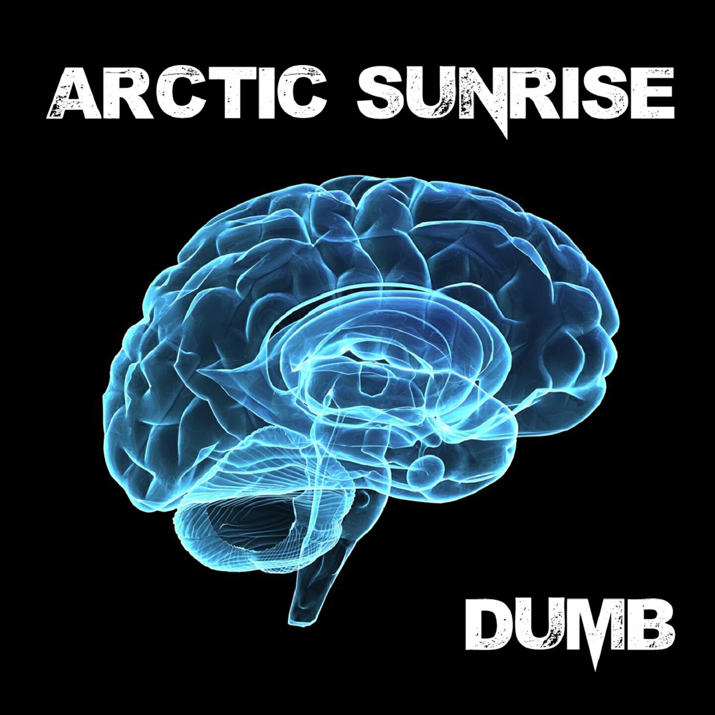Arctic Sunrise - Dumb (Pos2 DumpMix)
