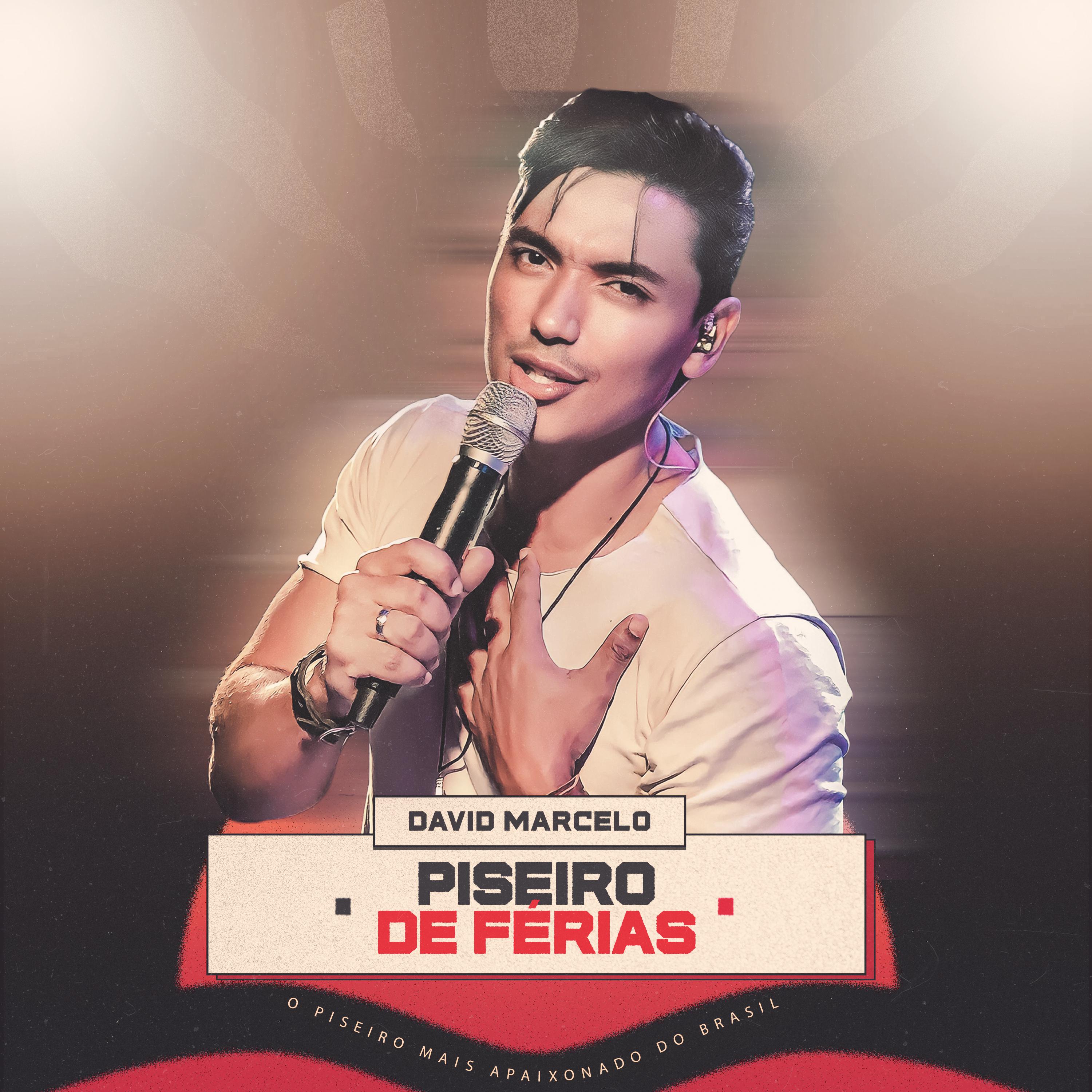 Постер альбома Piseiro de Férias