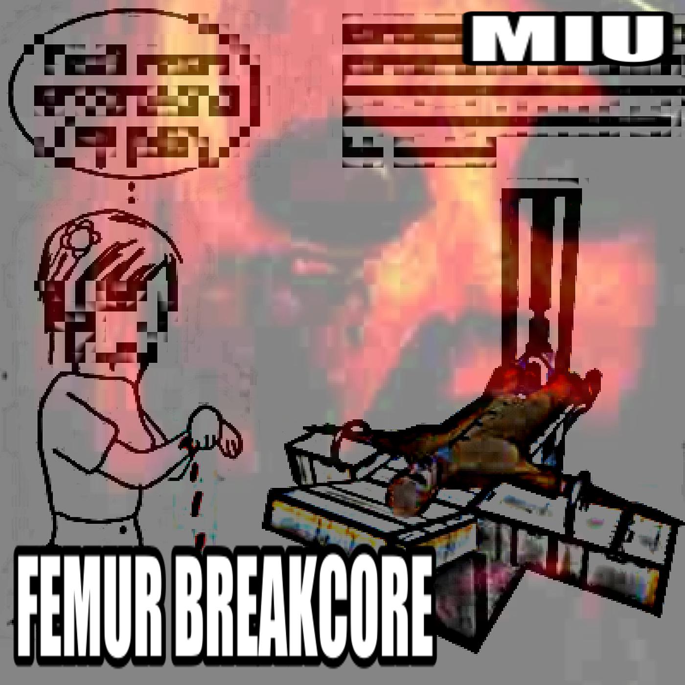 Постер альбома Femur Breakcore