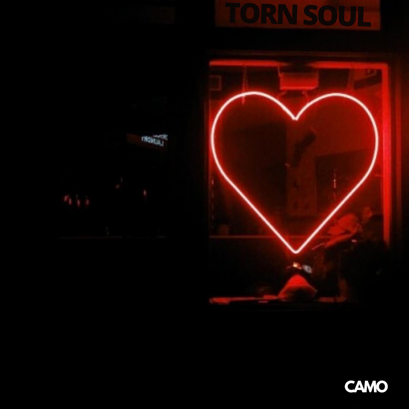 Постер альбома Torn Soul