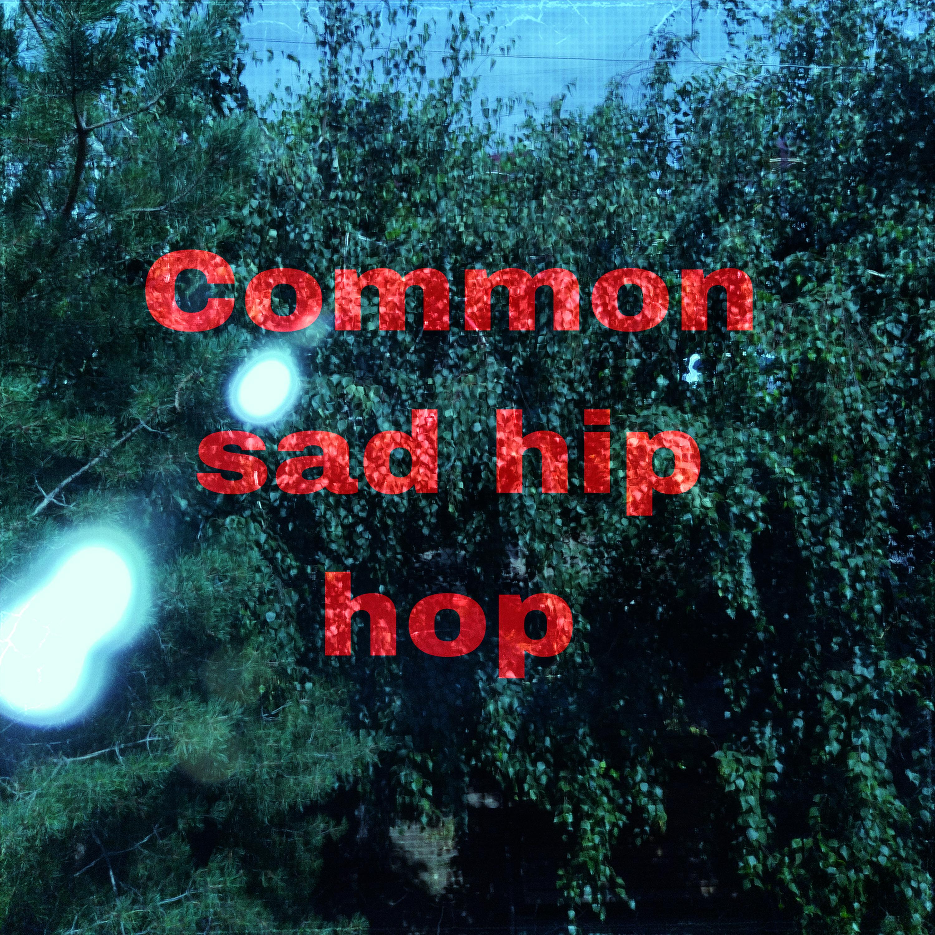 Постер альбома Common Sad Hip Hop
