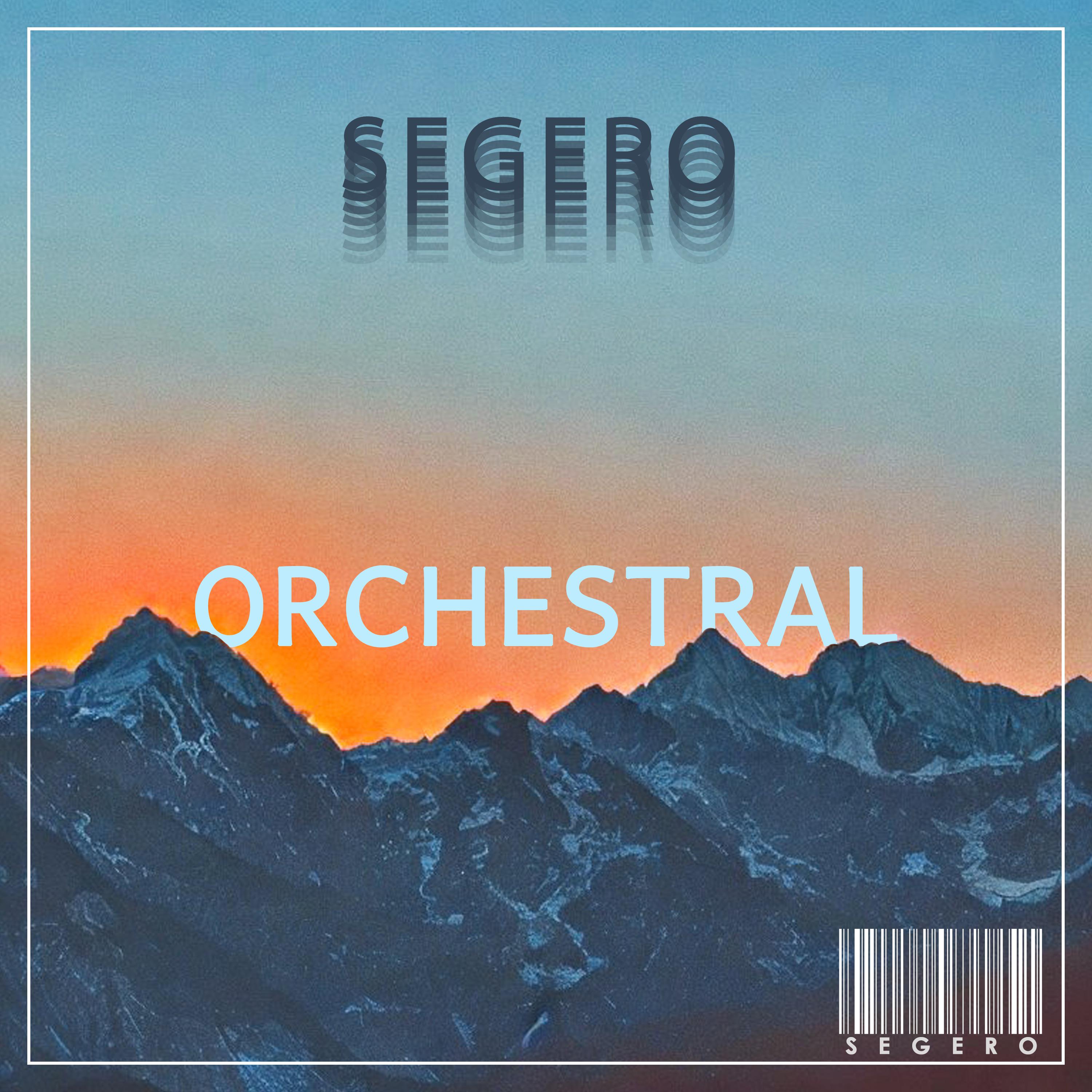 Постер альбома Orchestral